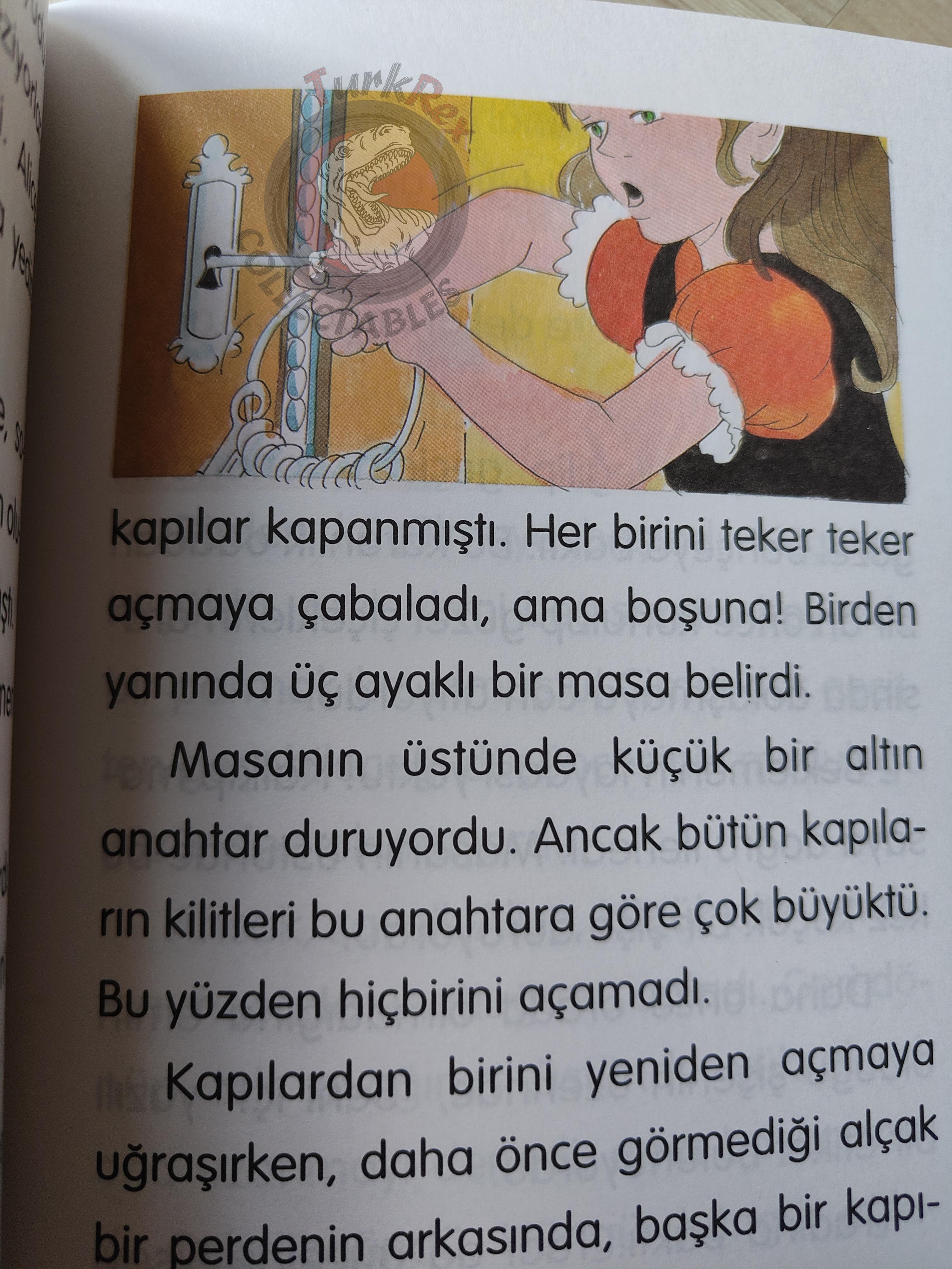 Lewis Carroll – Alice in Wonderland 2001 Turkish Book Turkey Illustrated