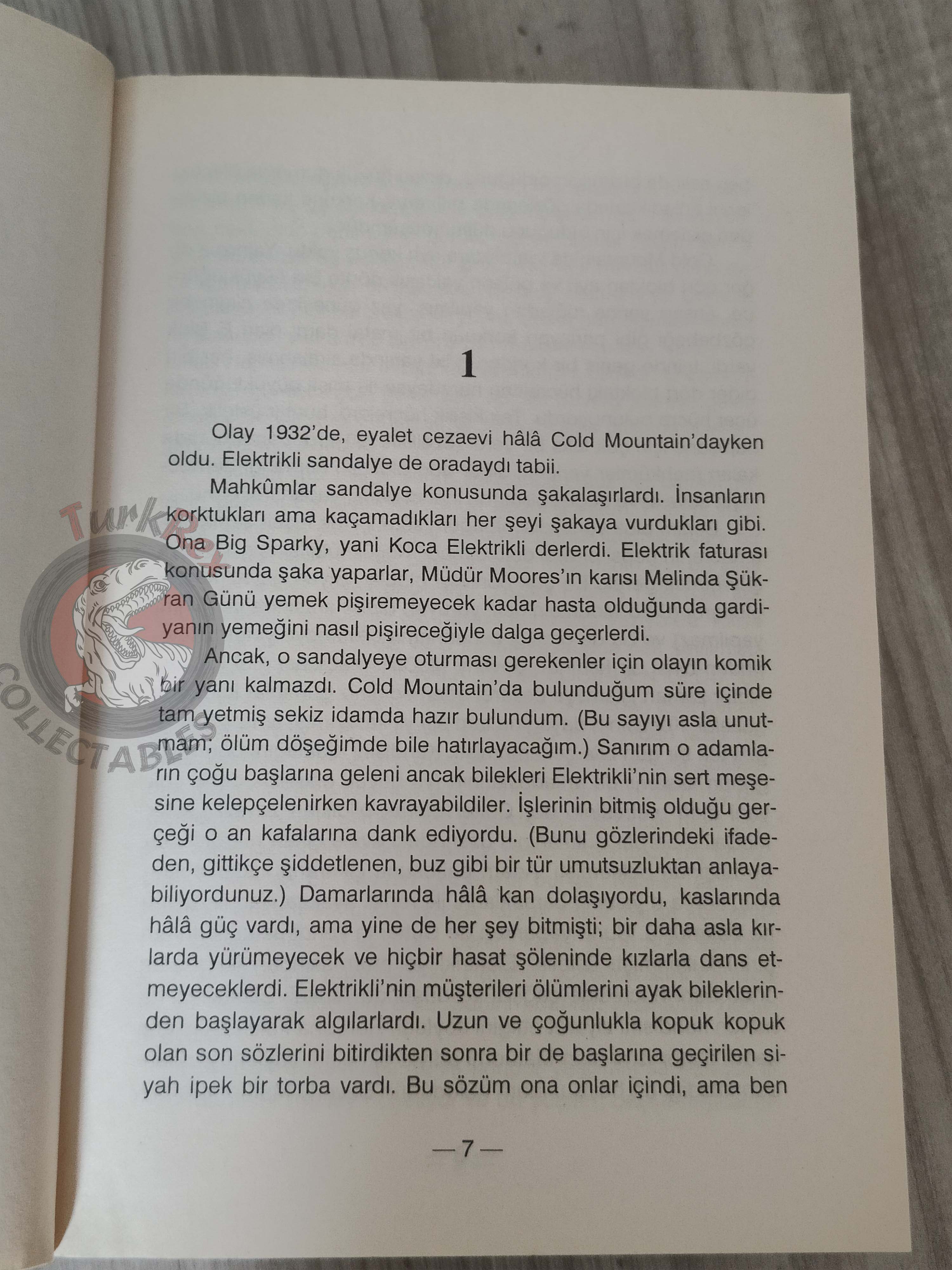 Stephen King – The Green Mile 2000 Turkish Book Turkey