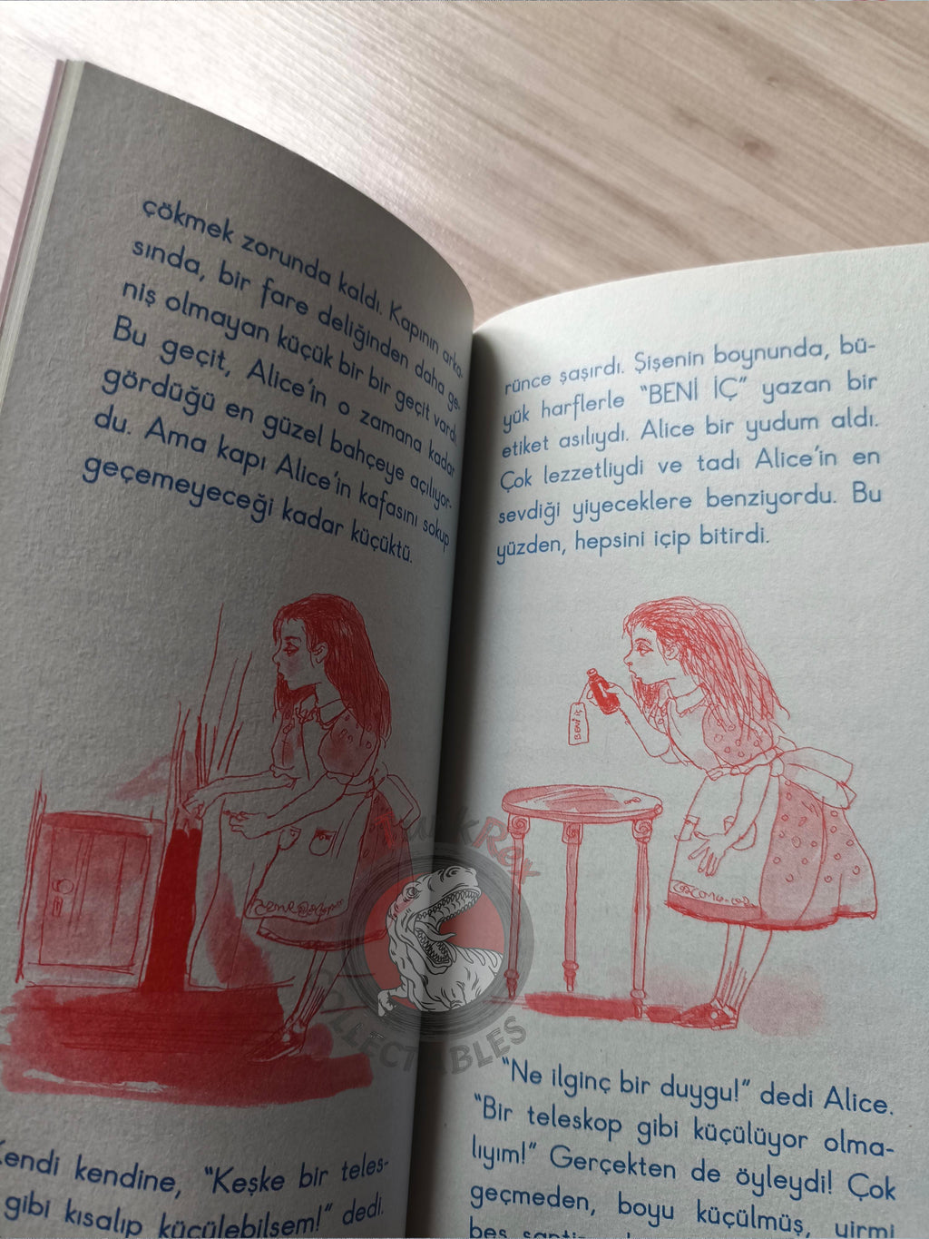 Lewis Carroll – Alice in Wonderland 2010 Turkish Book Turkey Illustrated 3