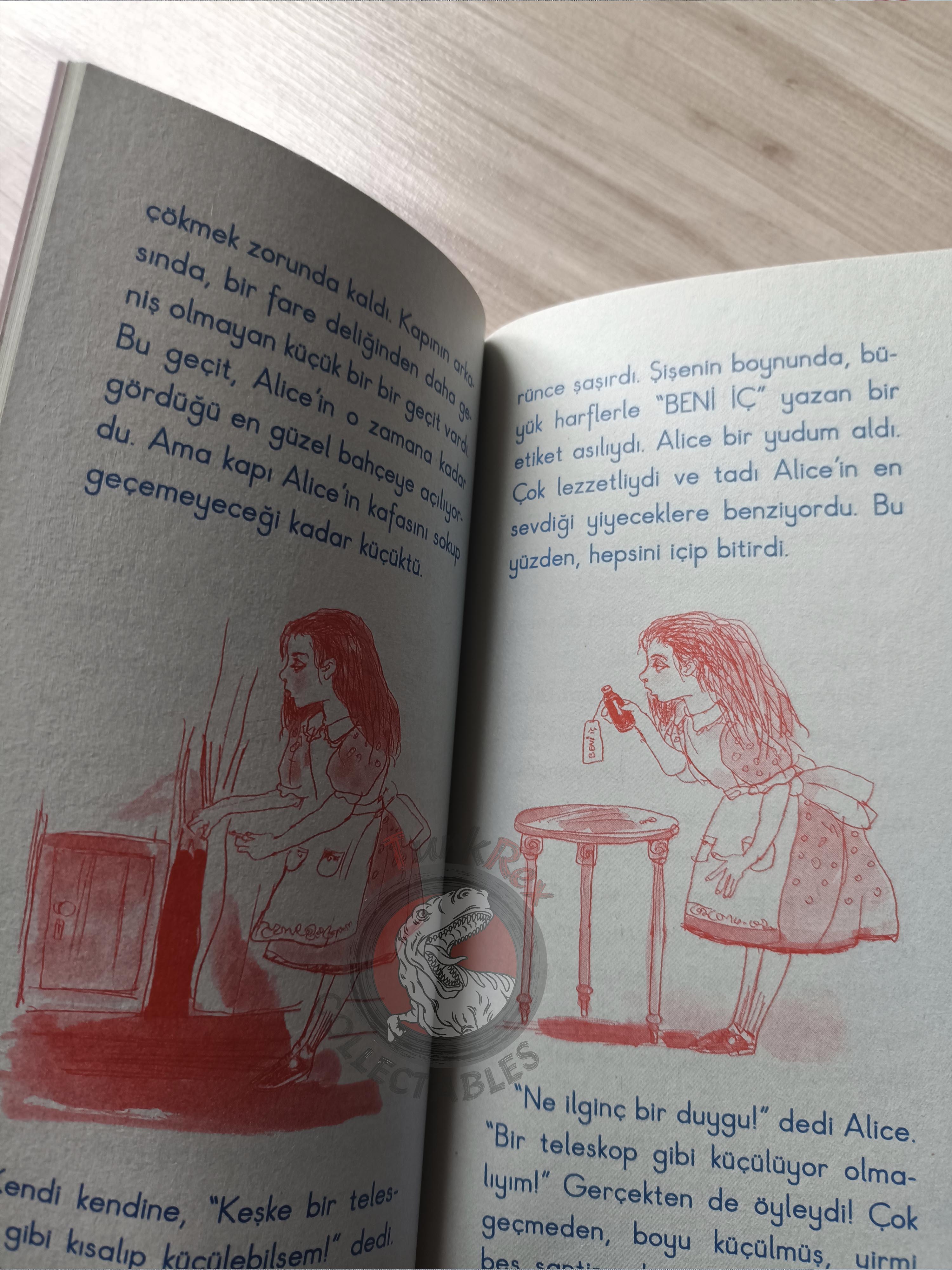 Lewis Carroll – Alice in Wonderland 2010 Turkish Book Turkey Illustrated 3