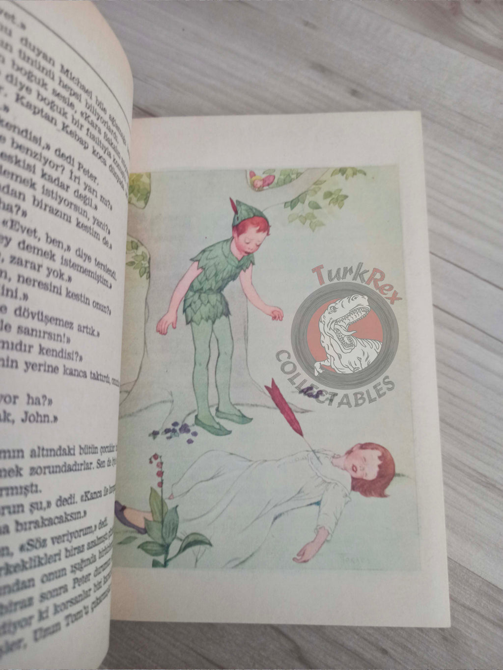 J. M. Barrie – Peter Pan 1985 Turkish Book Turkey Illustrated Arthur Rackham