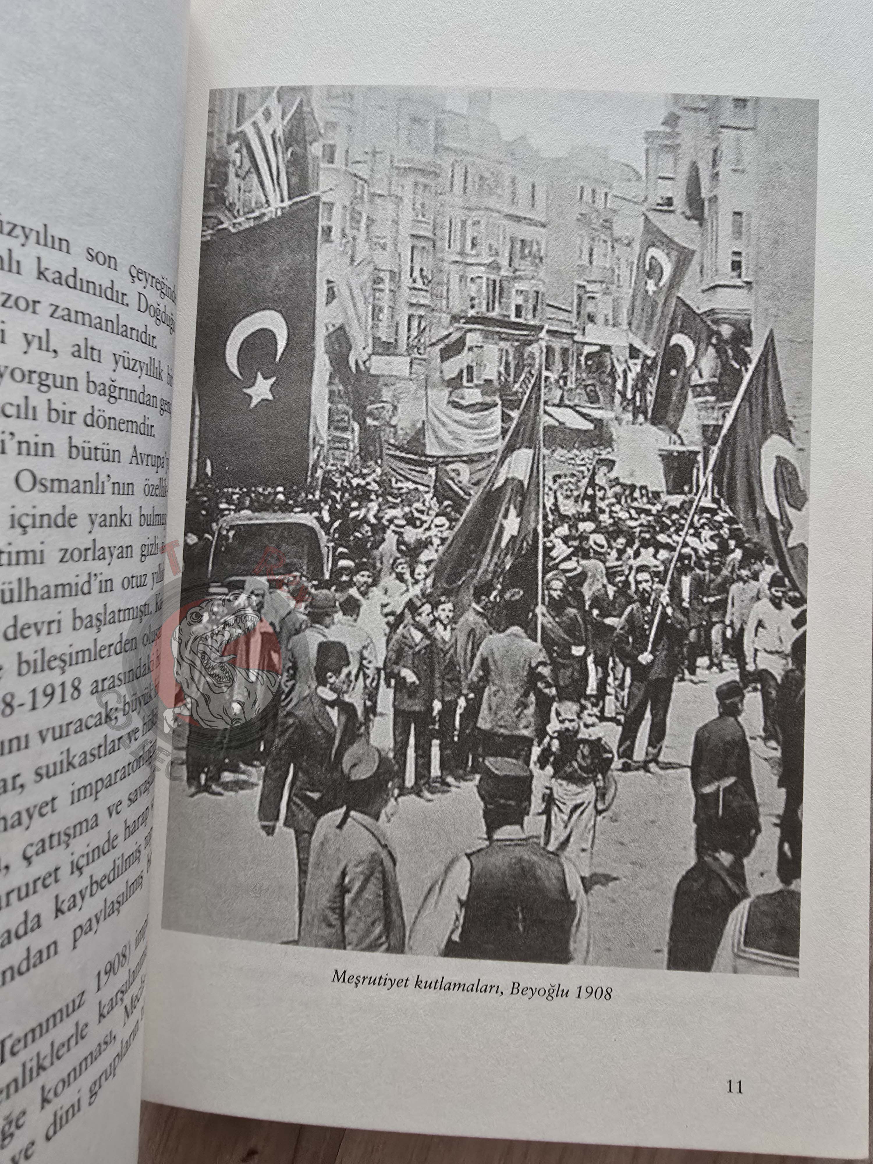 The Only Female Defendant of the 1910 Secret Society Case 2016 Turkish Book Turkey