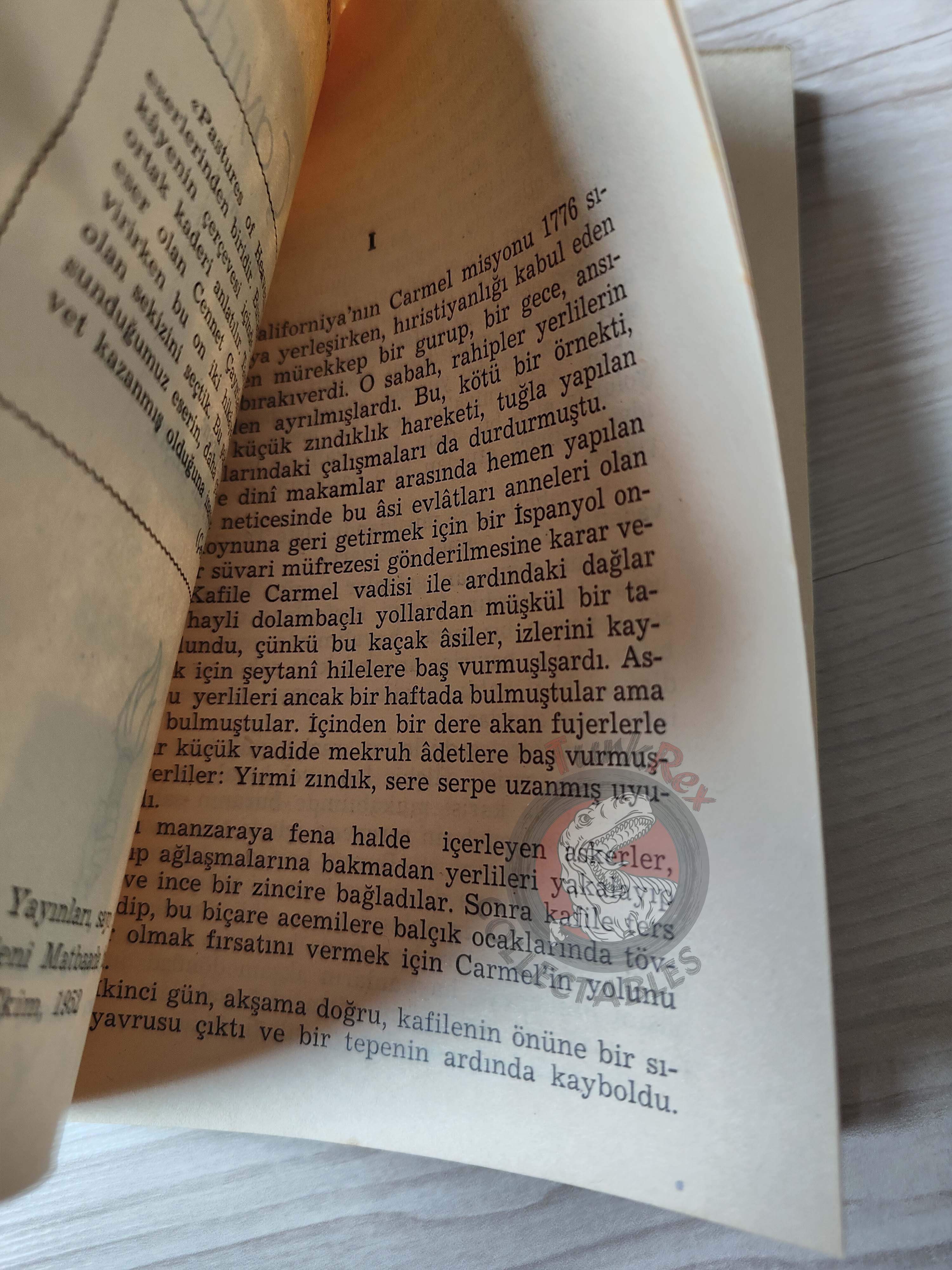 John Steinbeck – Pastures of Heaven 1952 1st Turkish Book Turkey