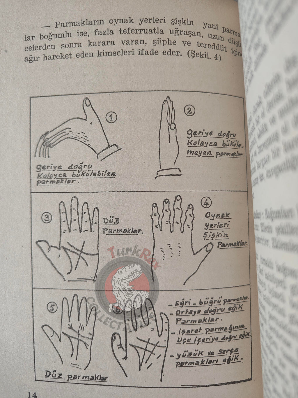 Palm Reading Palmistry Hand Reading 1961 Turkish Book Turkey