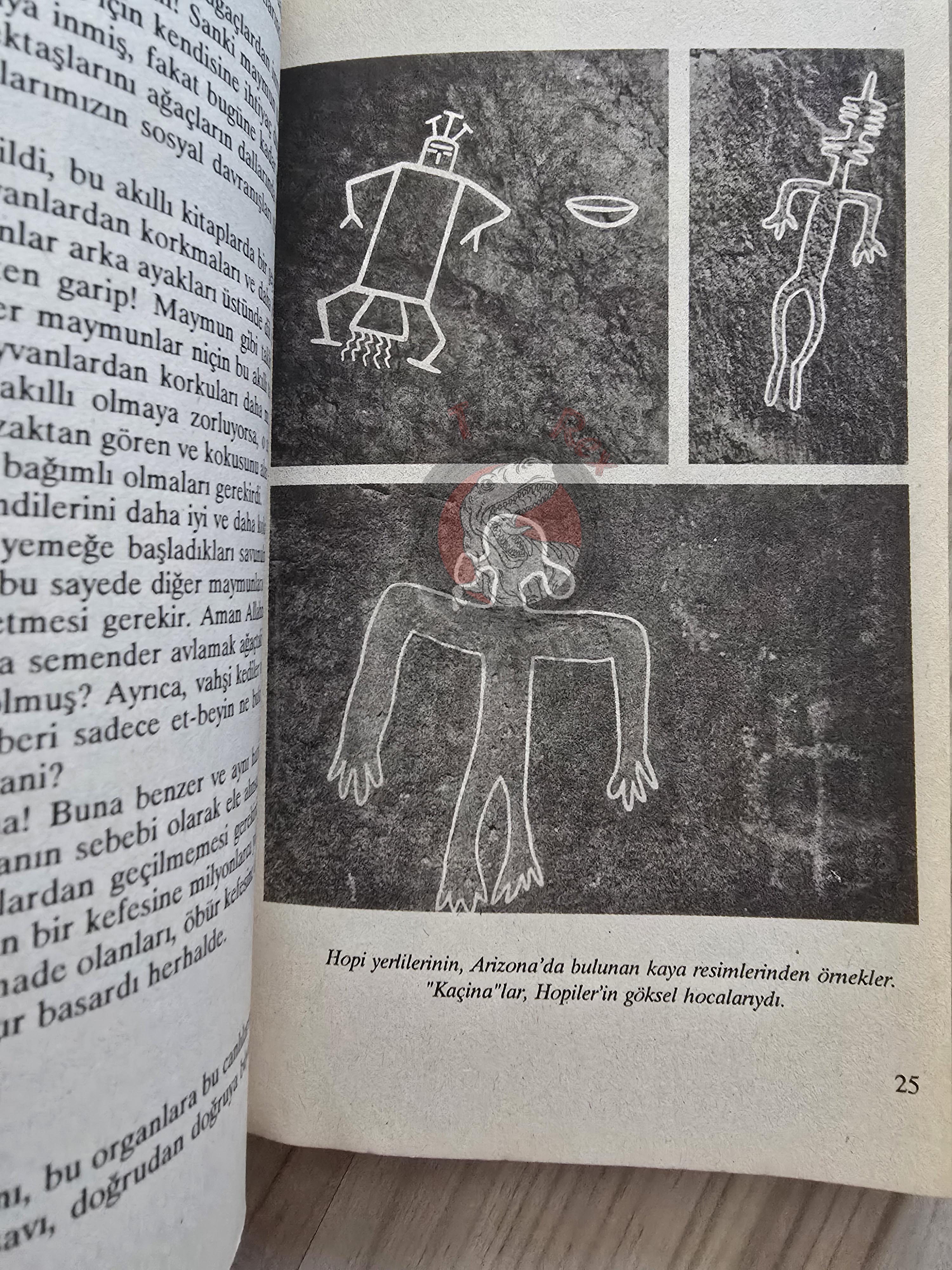 Erich von Däniken –  The Stone Age Was Totally Different 1993 Turkish Book Turkey Ufology