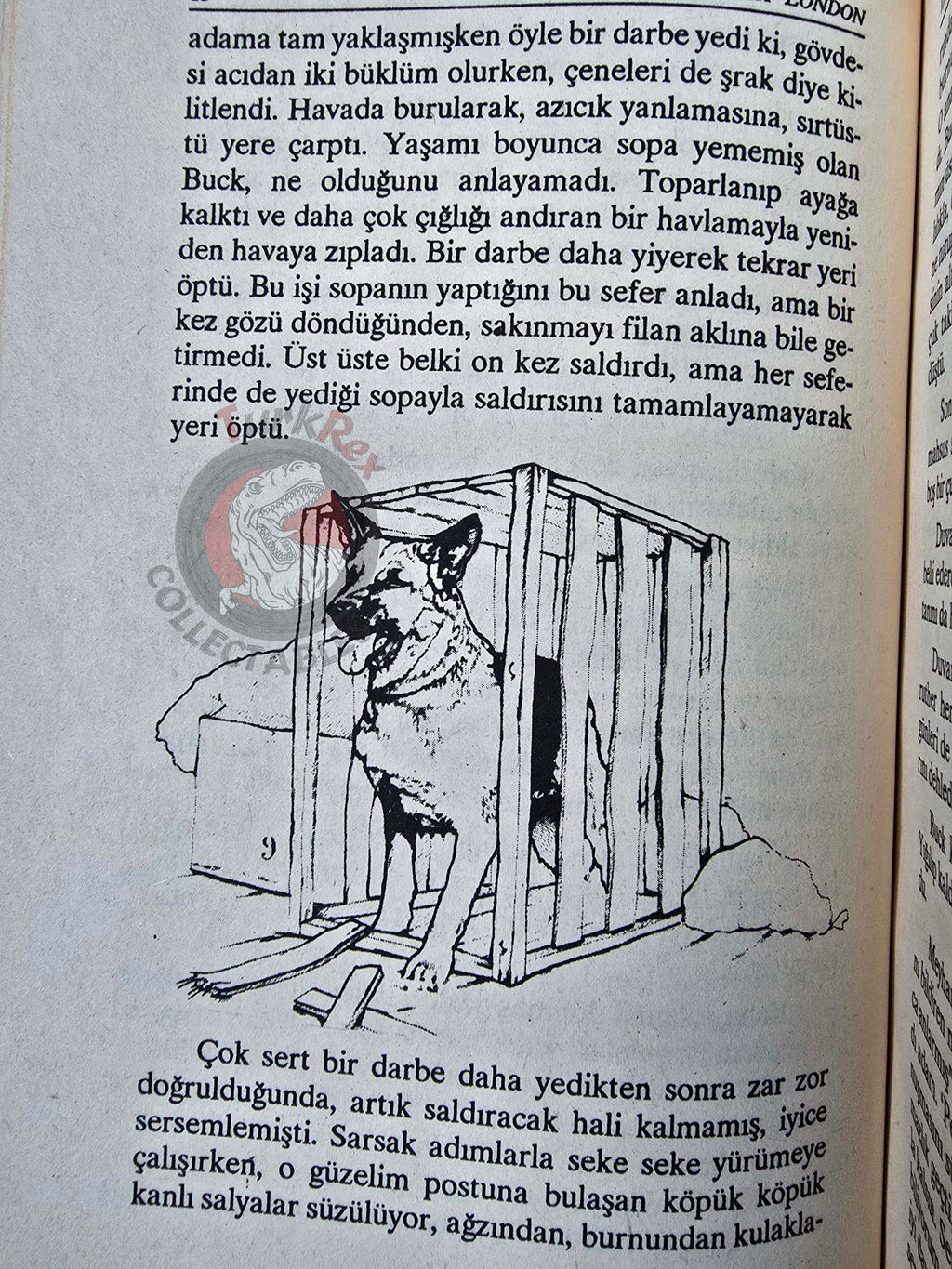 Jack London – The Call of the Wild 1996 Turkish Book Turkey Illustrated
