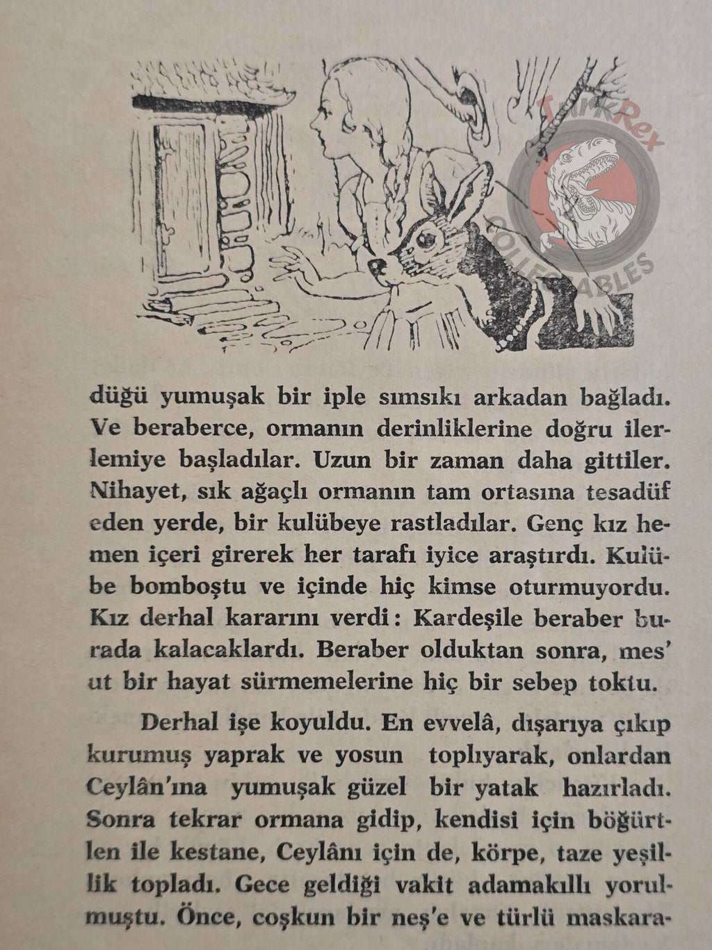Grimm Brothers – Brother and Sister 1961 Turkish Book Turkey Illustrated