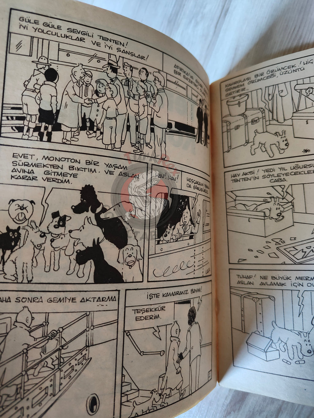 Tintin – Tintin in the Congo mid 1980s Turkish Edition Comic Turkey 2