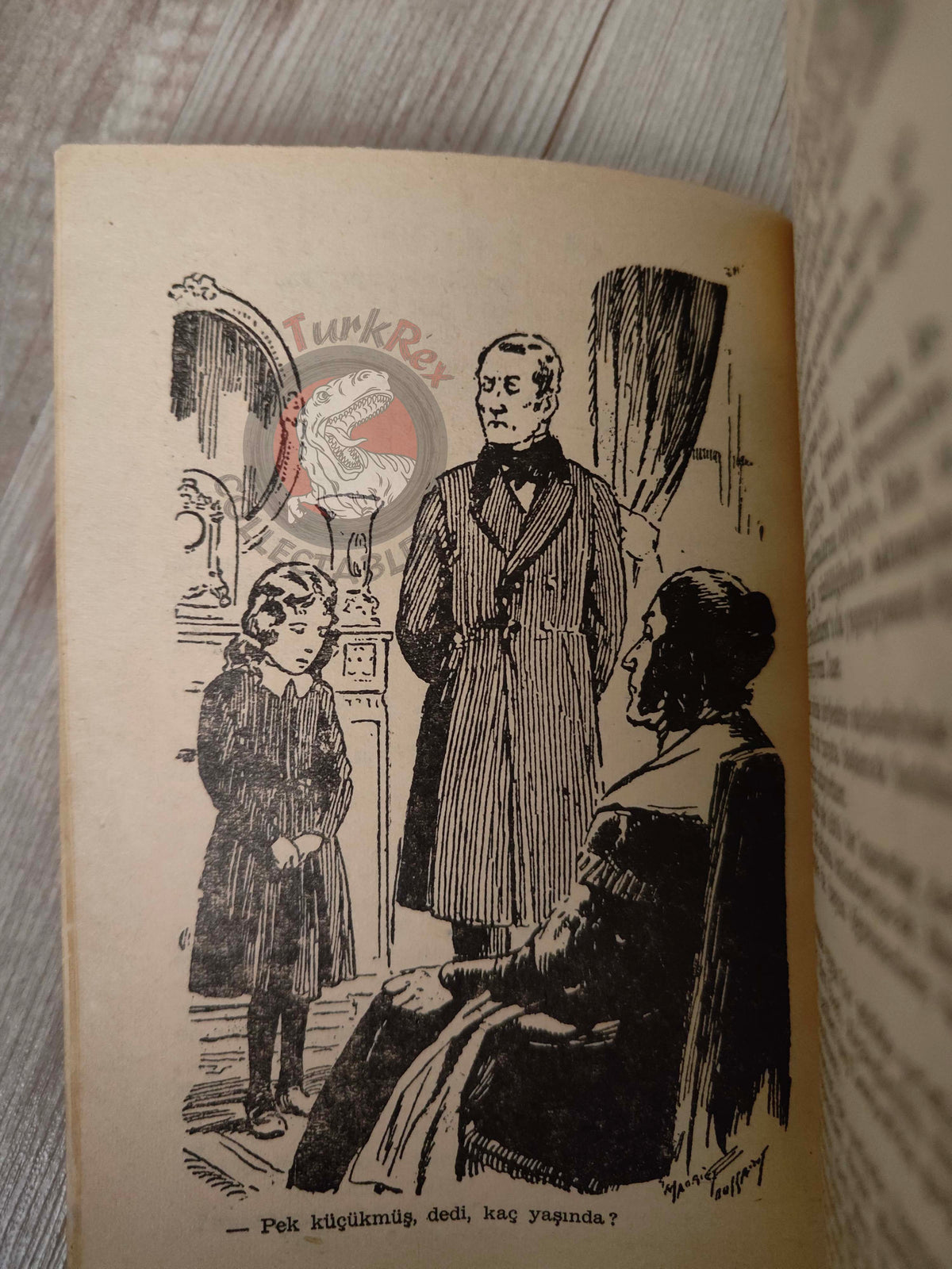 Charlotte Brontë – Jane Eyre 1957 Turkish Book Turkey Illustrated Maurice Toussaint