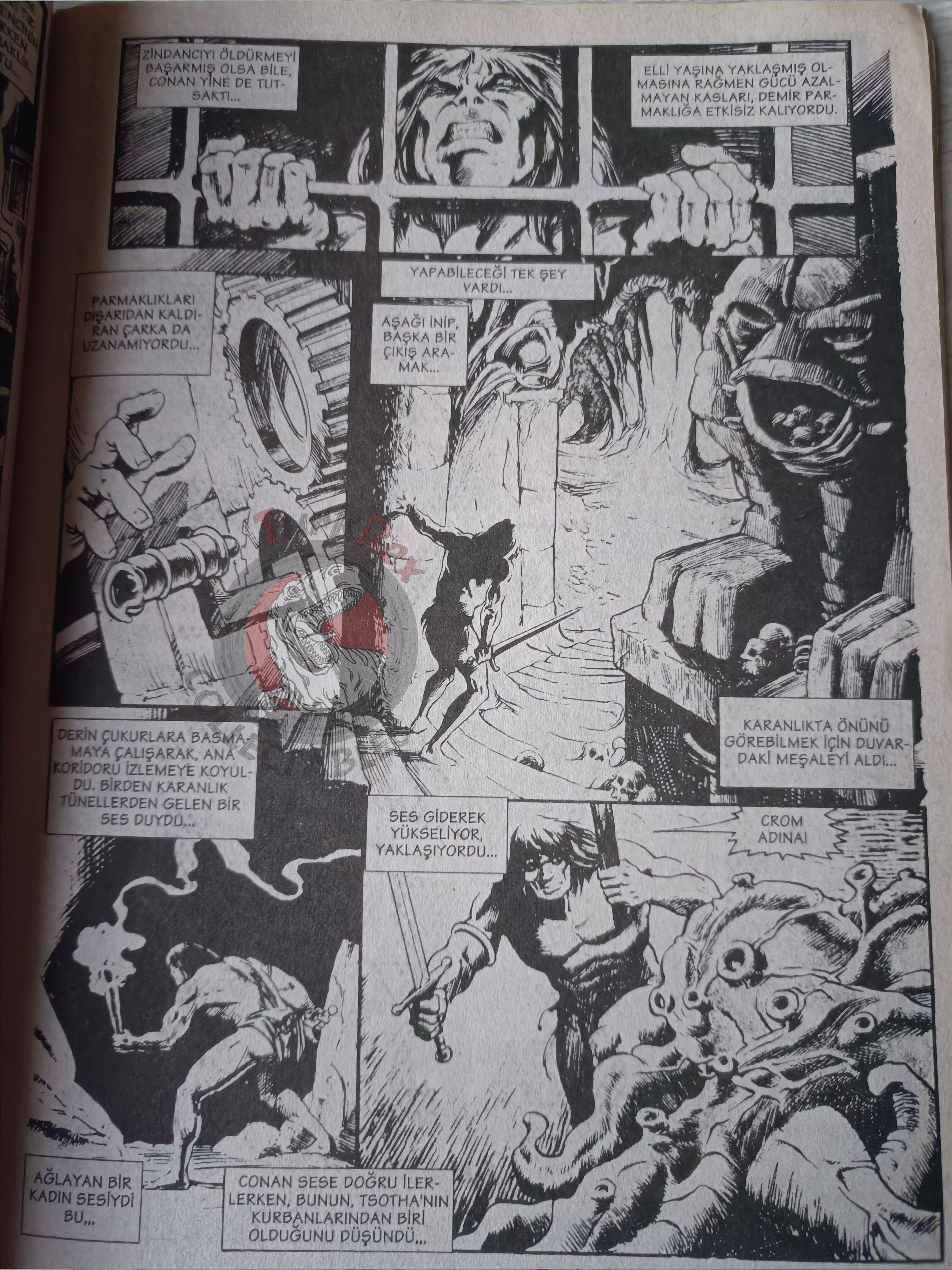 Kral Conan #10 The Savage Sword of #30 Turkish Comic Turkey Saga #22