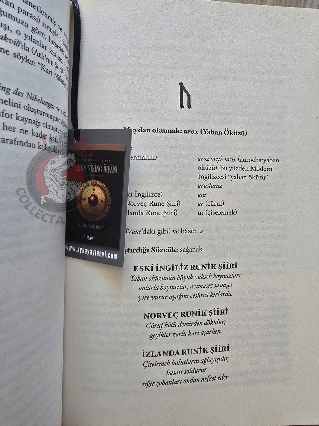 Paul Rhys Mountfort – Nordic Runes 2012 Turkish Book Turkey