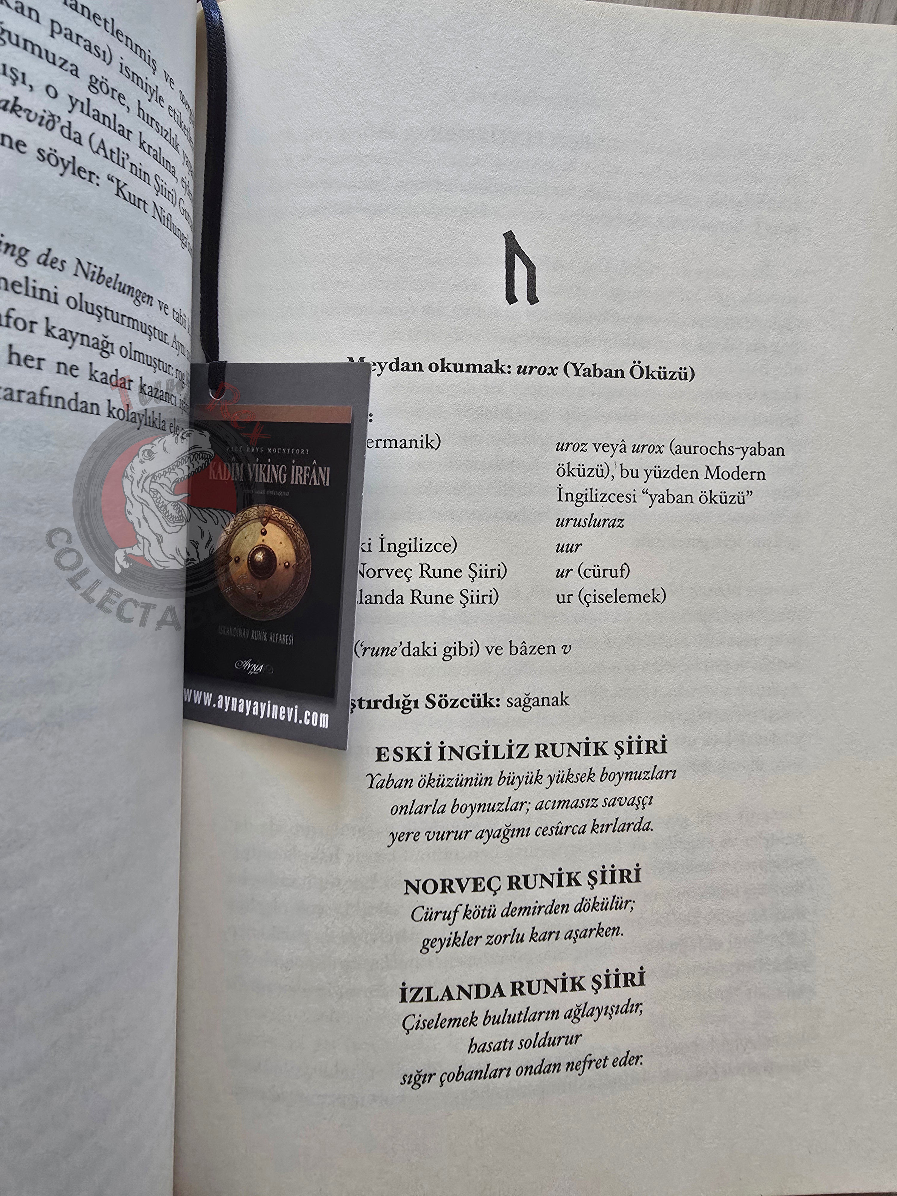 Paul Rhys Mountfort – Nordic Runes 2012 Turkish Book Turkey