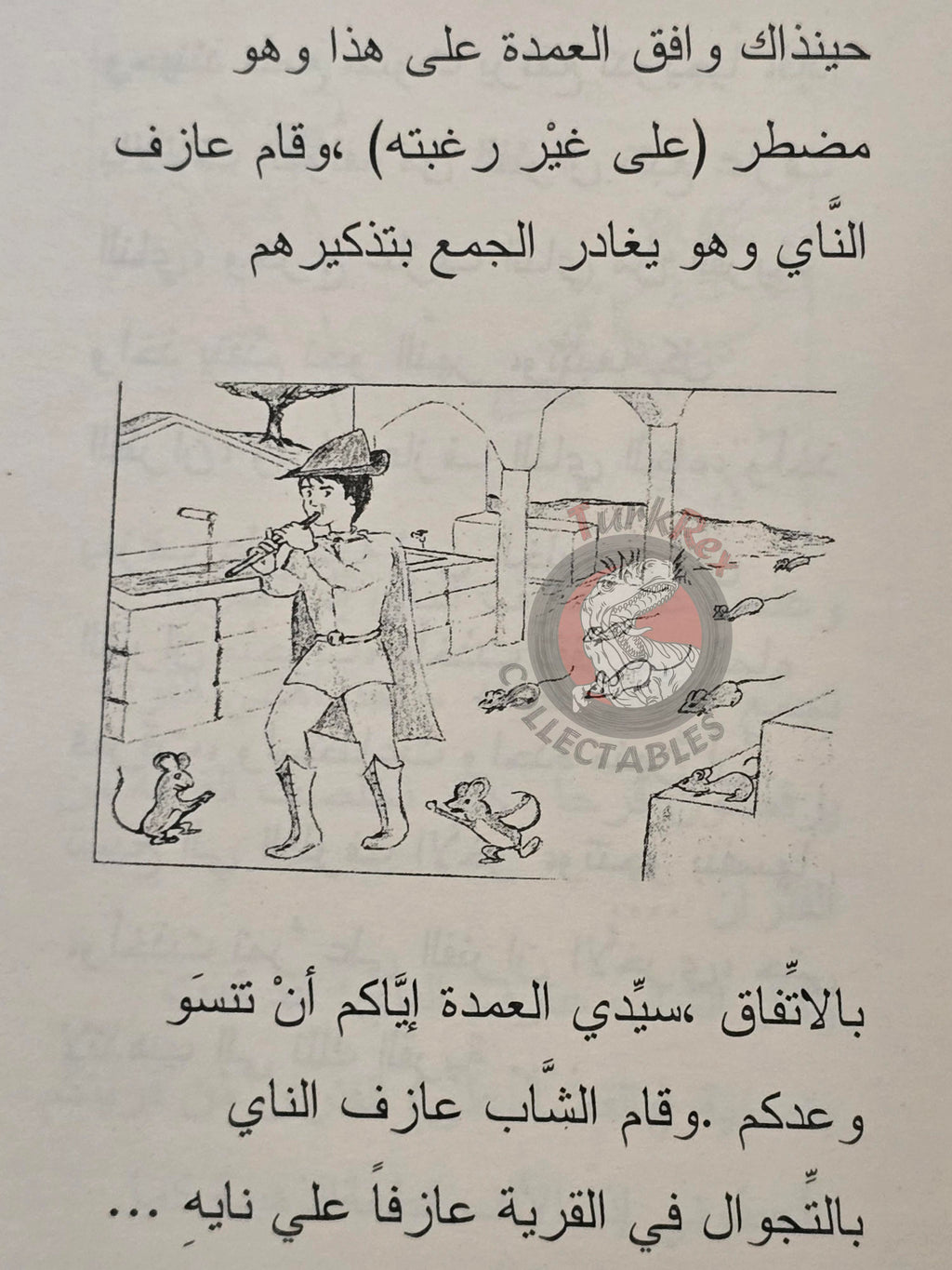 Grimm Brothers – Pied Piper of Hamelin 2006 Arabic Book Turkey Illustrated