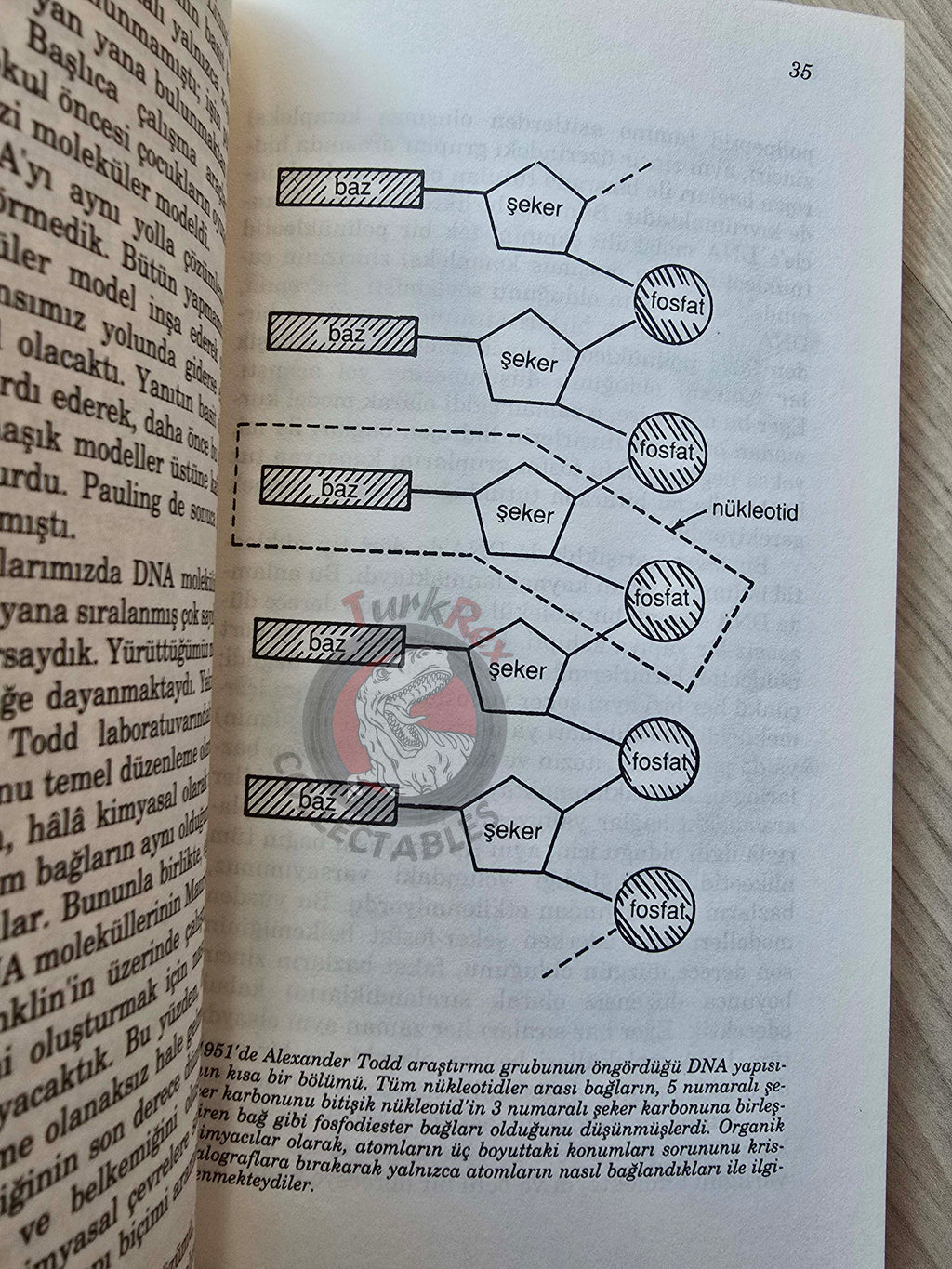 James D. Watson – The Double Helix 1996 Turkish Book Turkey
