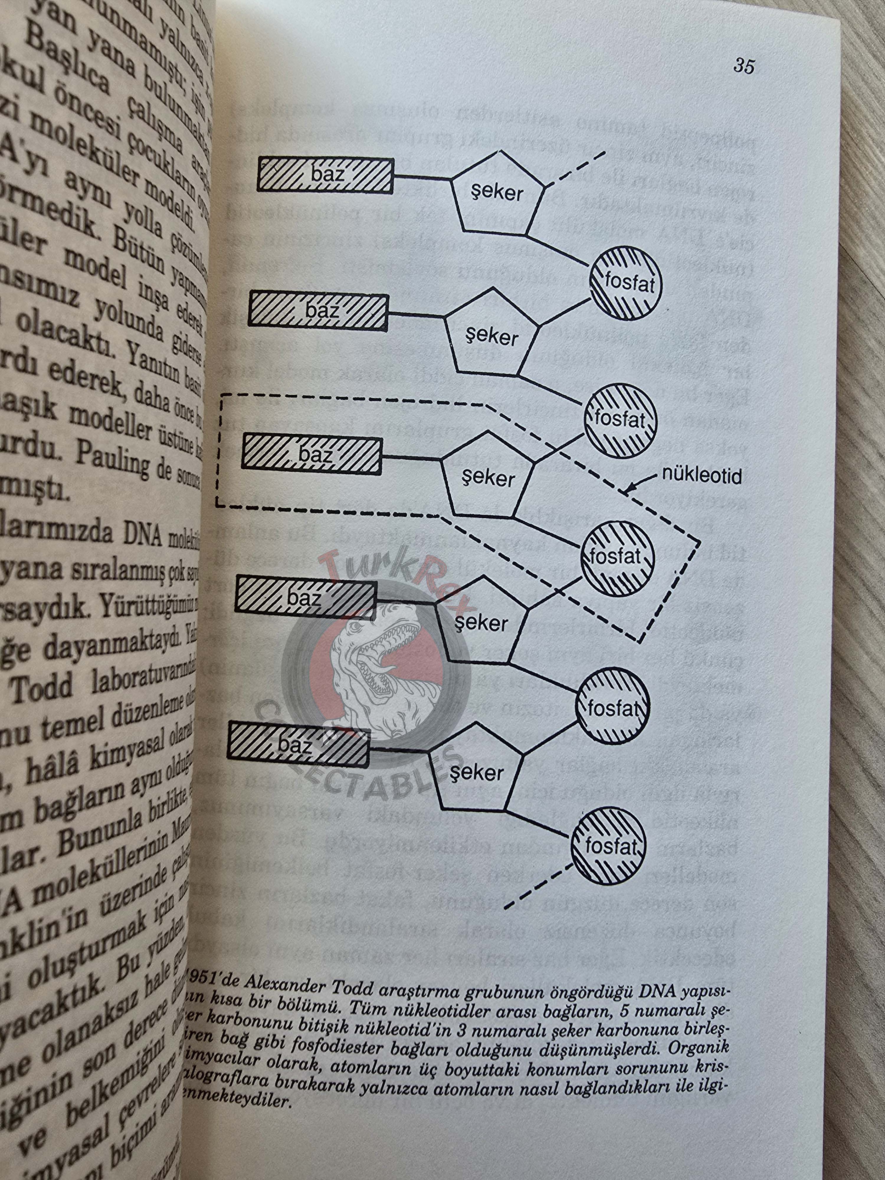 James D. Watson – The Double Helix 1996 Turkish Book Turkey