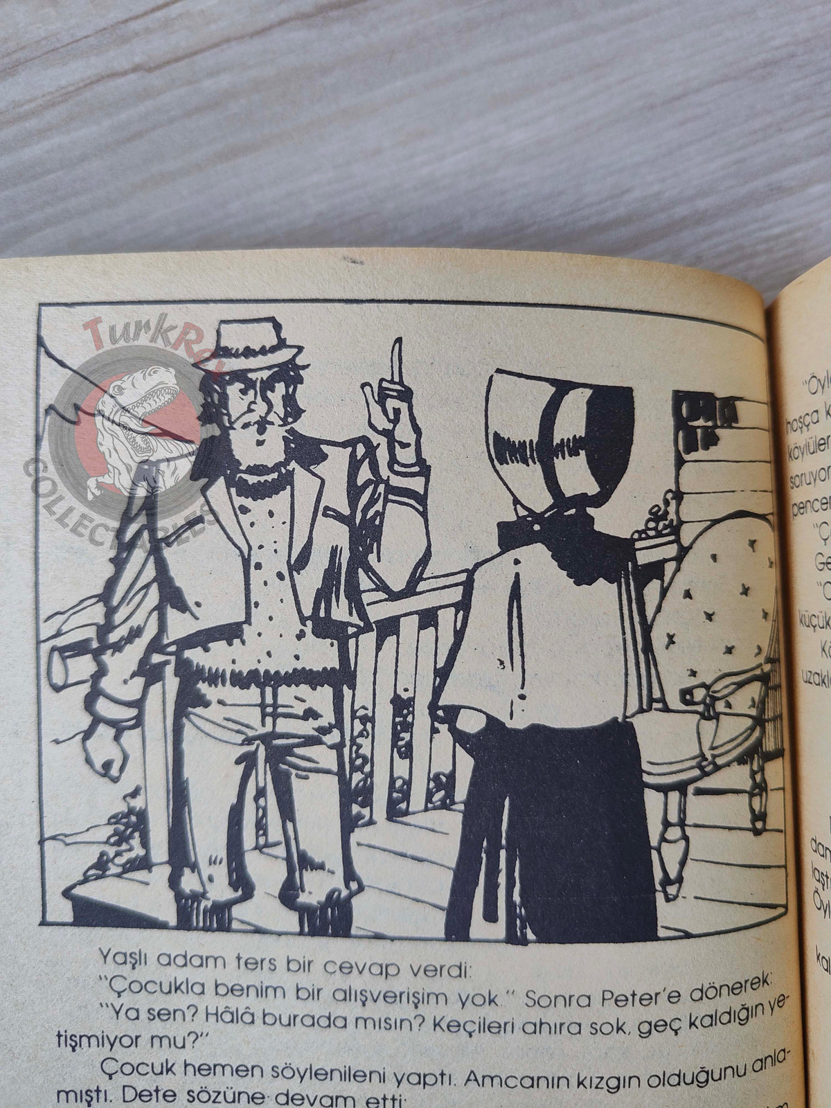 Johanna Spyri – Heidi 1980s Turkish Book Turkey Illustrated