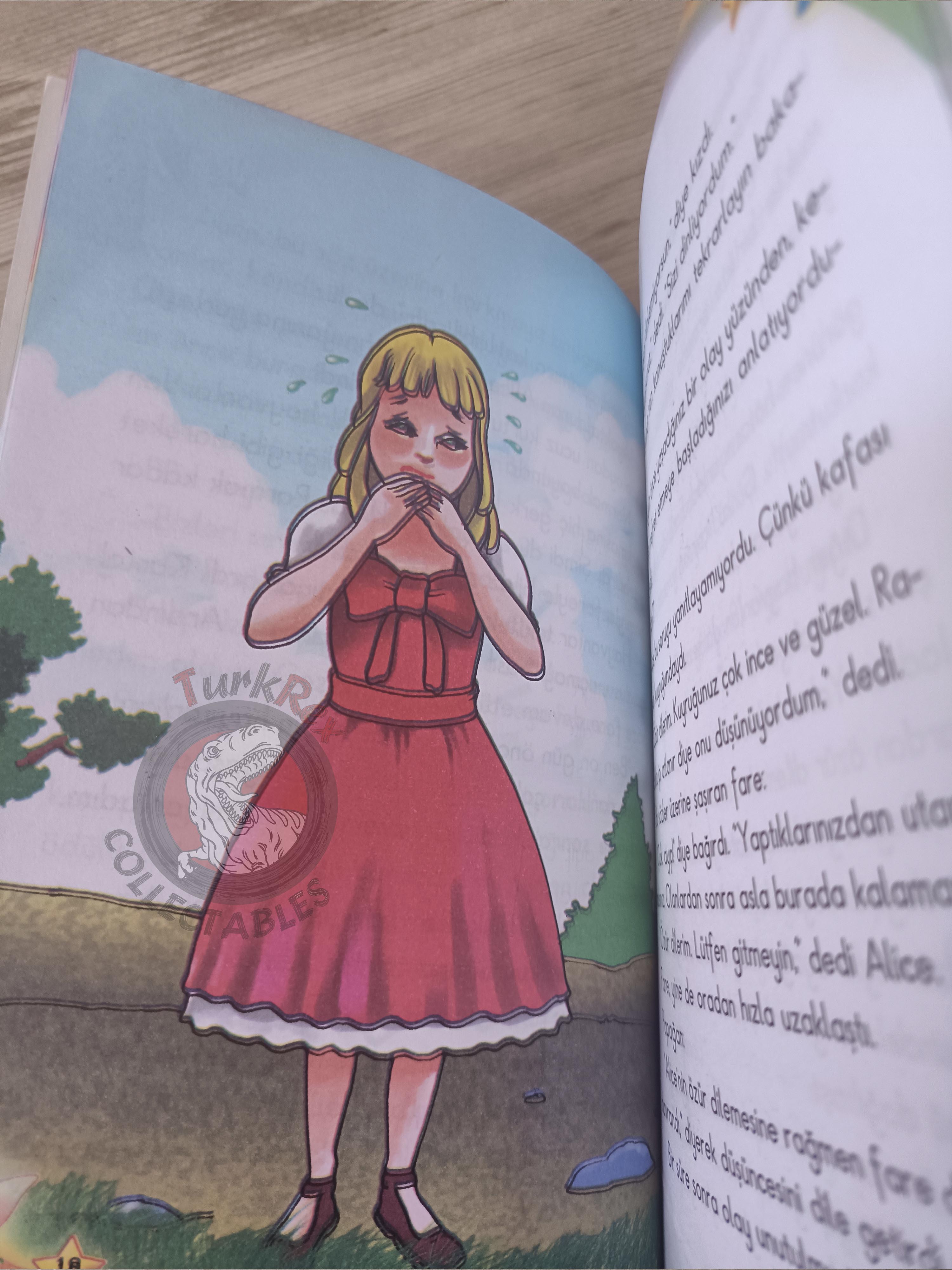 Lewis Carroll – Alice in Wonderland 2010 Turkish Book Turkey Illustrated 2