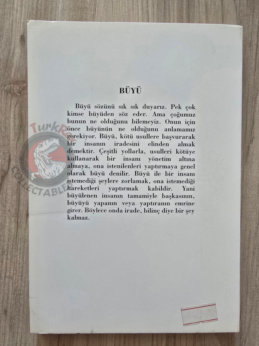 Alfred Brauchle – Witchcraft from Past to Present 1993 Turkish Book Turkey