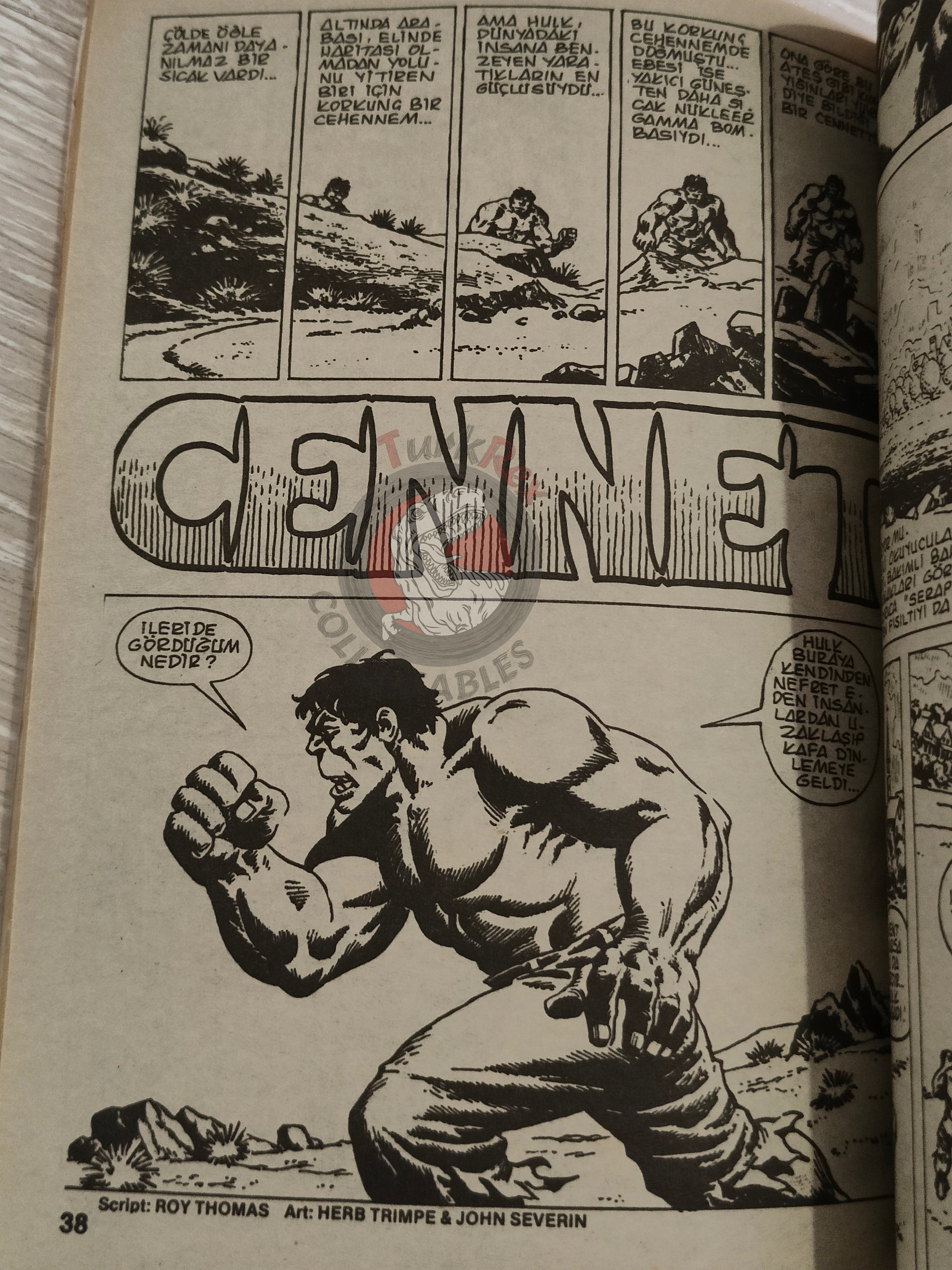Hulk #2 1987 Turkish Comic Turkey cover #17