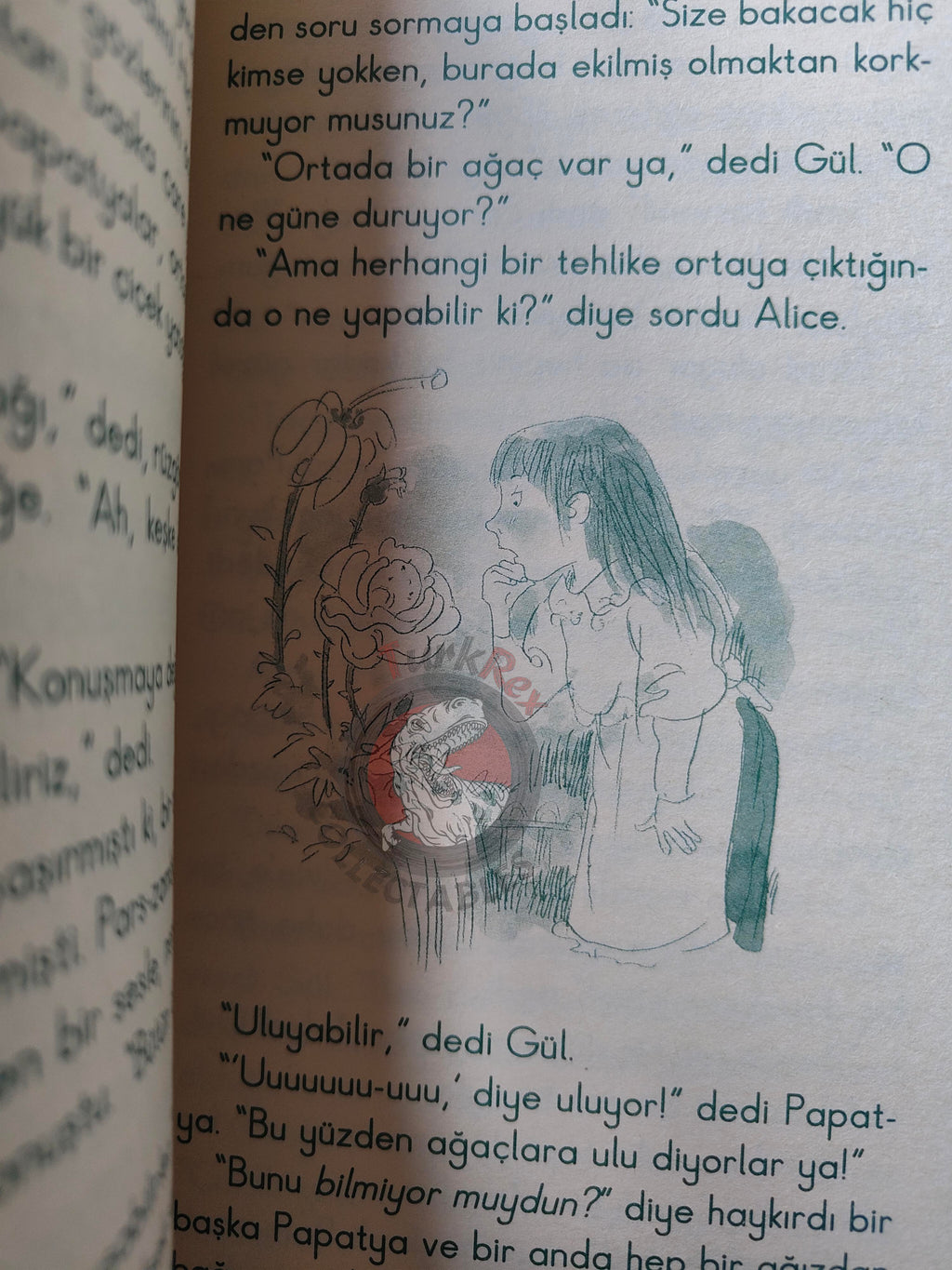 Lewis Carroll – Through the Looking-Glass 2006 Turkish Book Turkey Illustrated