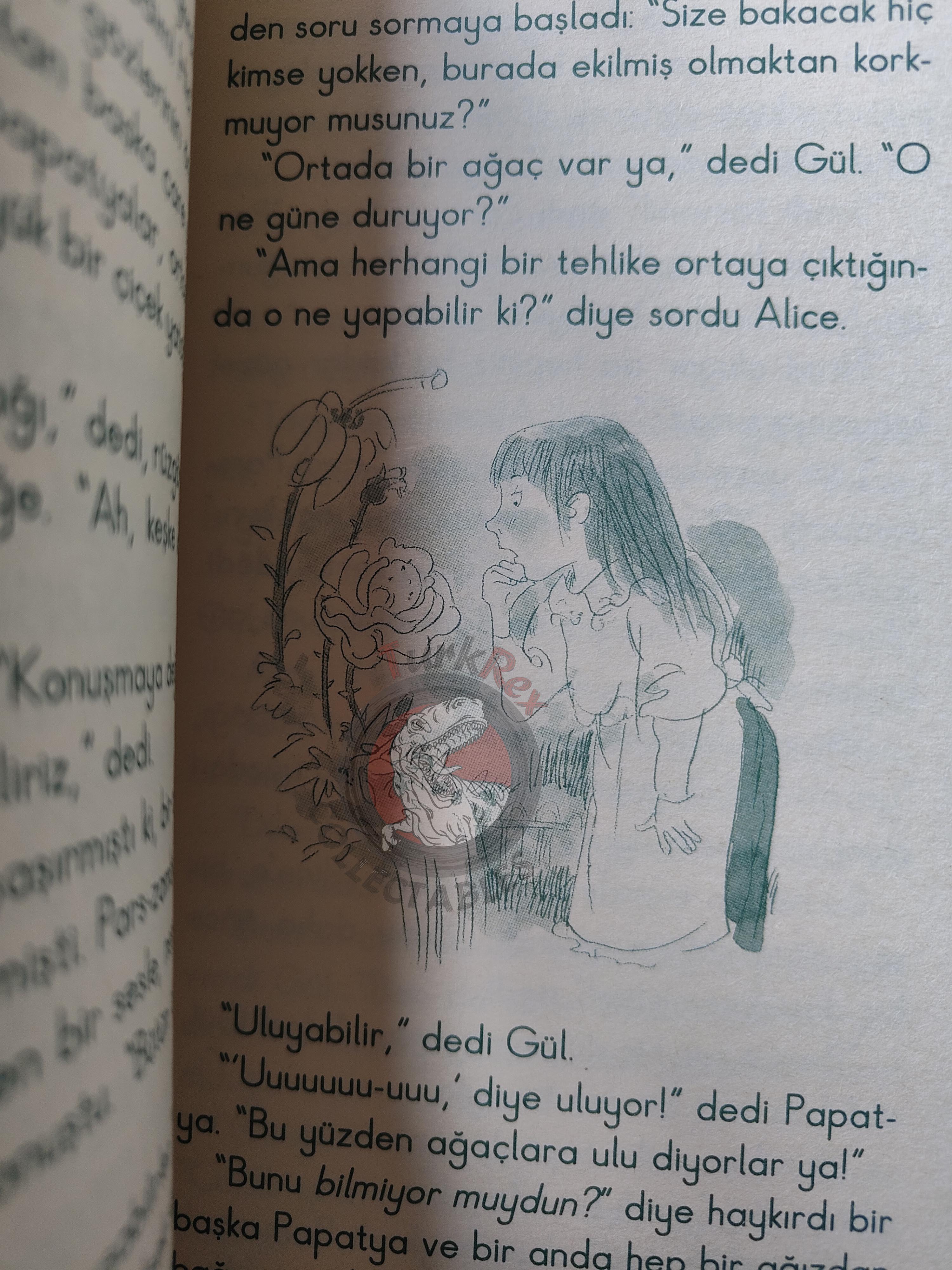 Lewis Carroll – Through the Looking-Glass 2006 Turkish Book Turkey Illustrated