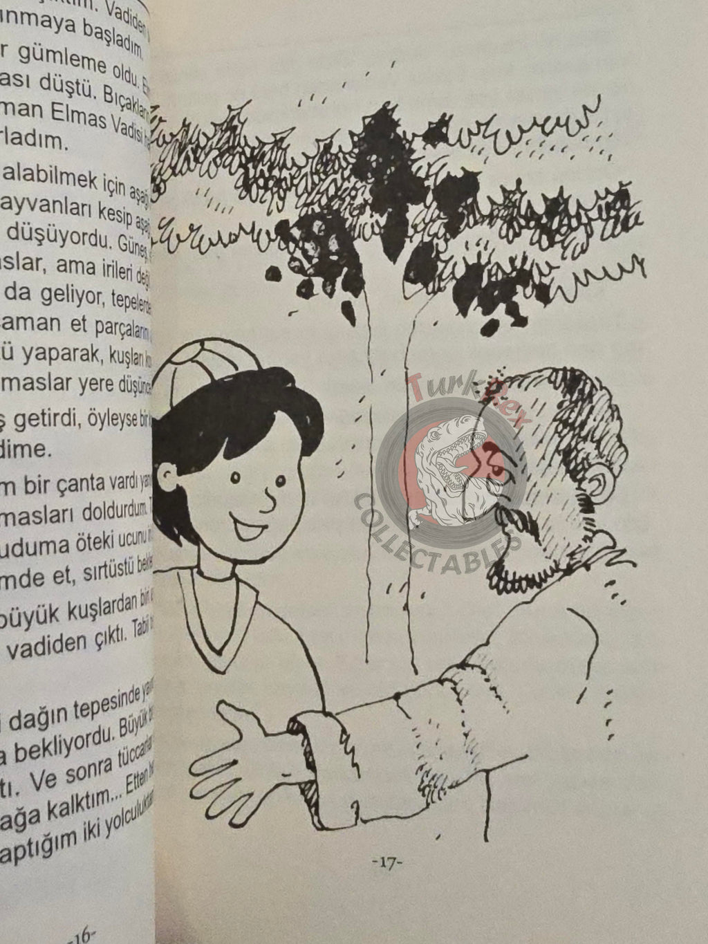 Sinbad the Sailor 2011 Turkish Book Turkey 1001 Nights Illustrated