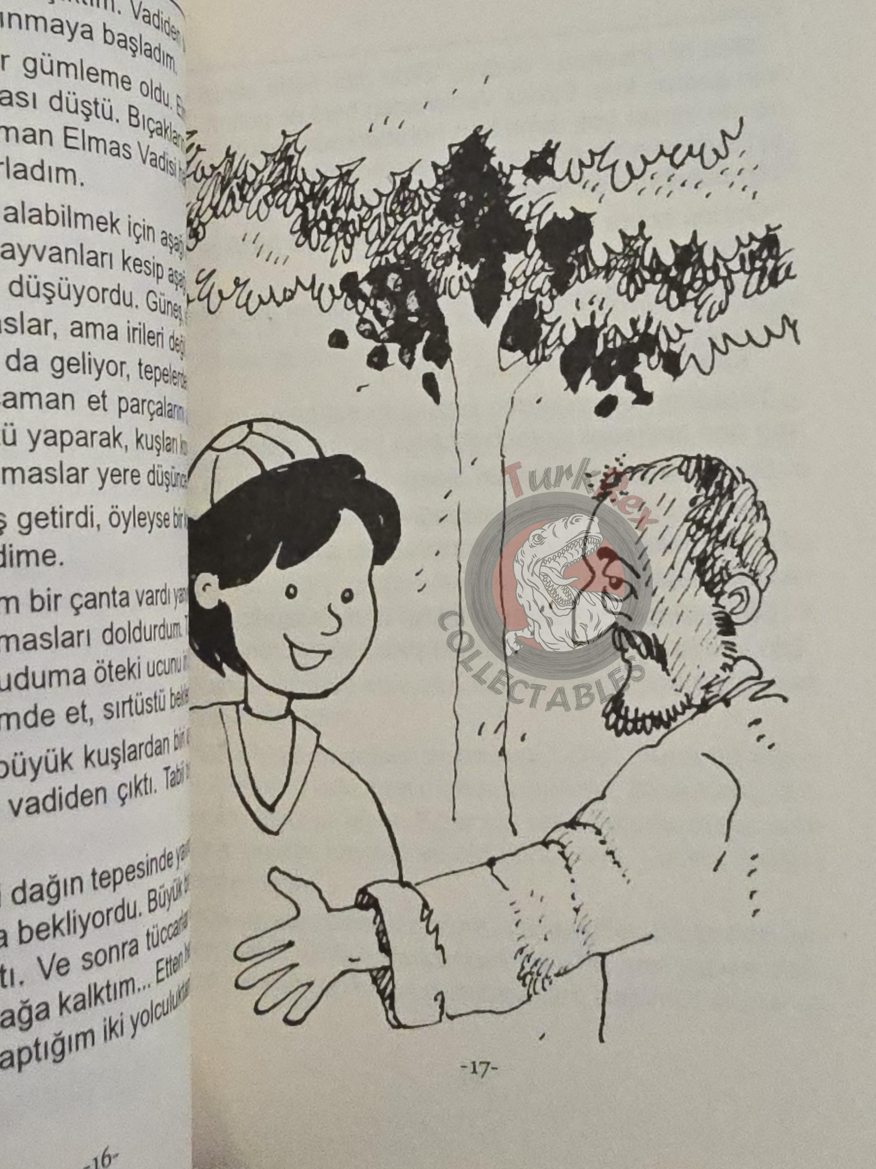 Sinbad the Sailor 2011 Turkish Book Turkey 1001 Nights Illustrated