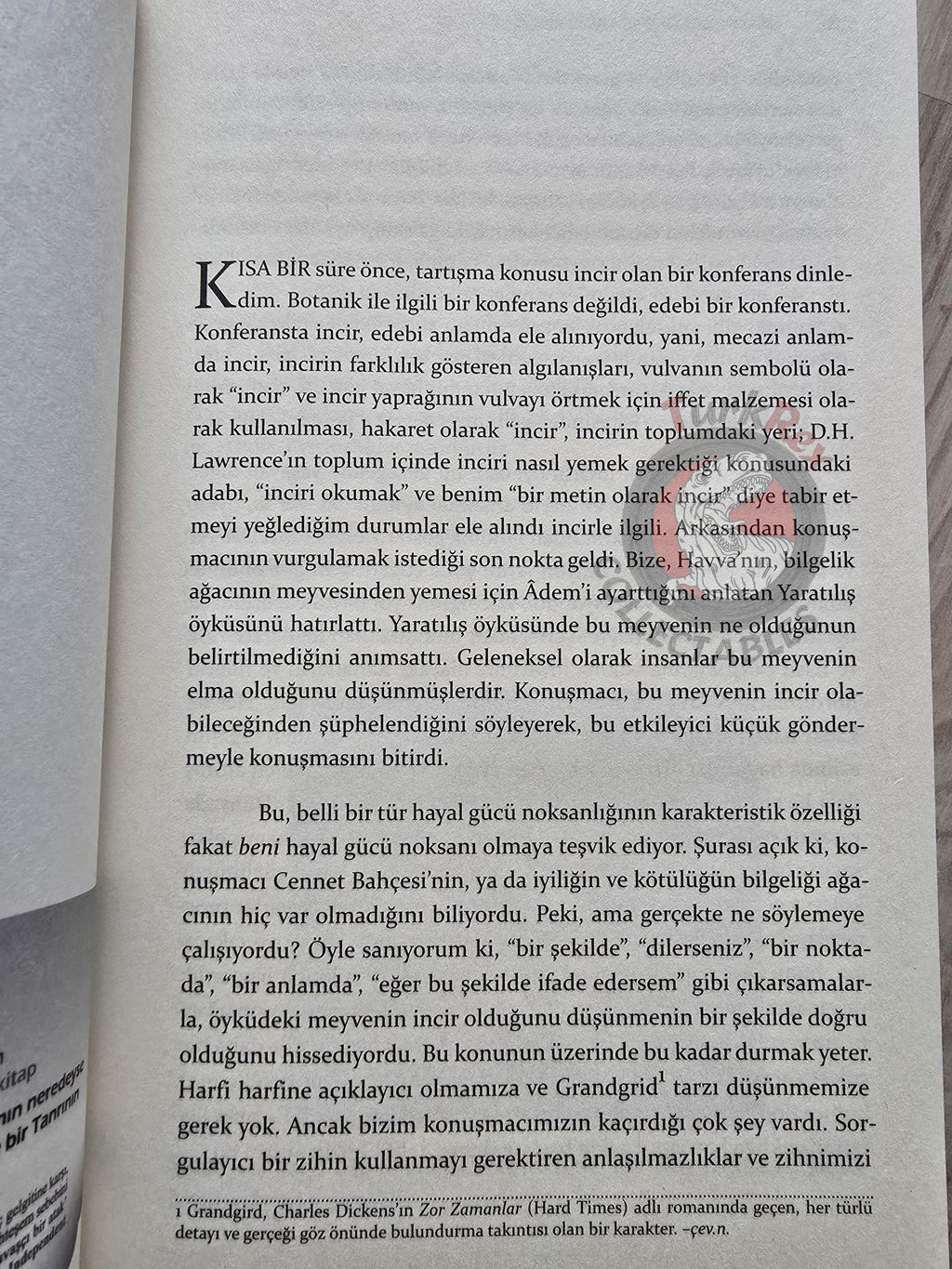 Richard Dawkins – Climbing Mount Improbable 2017 Turkish Book Turkey