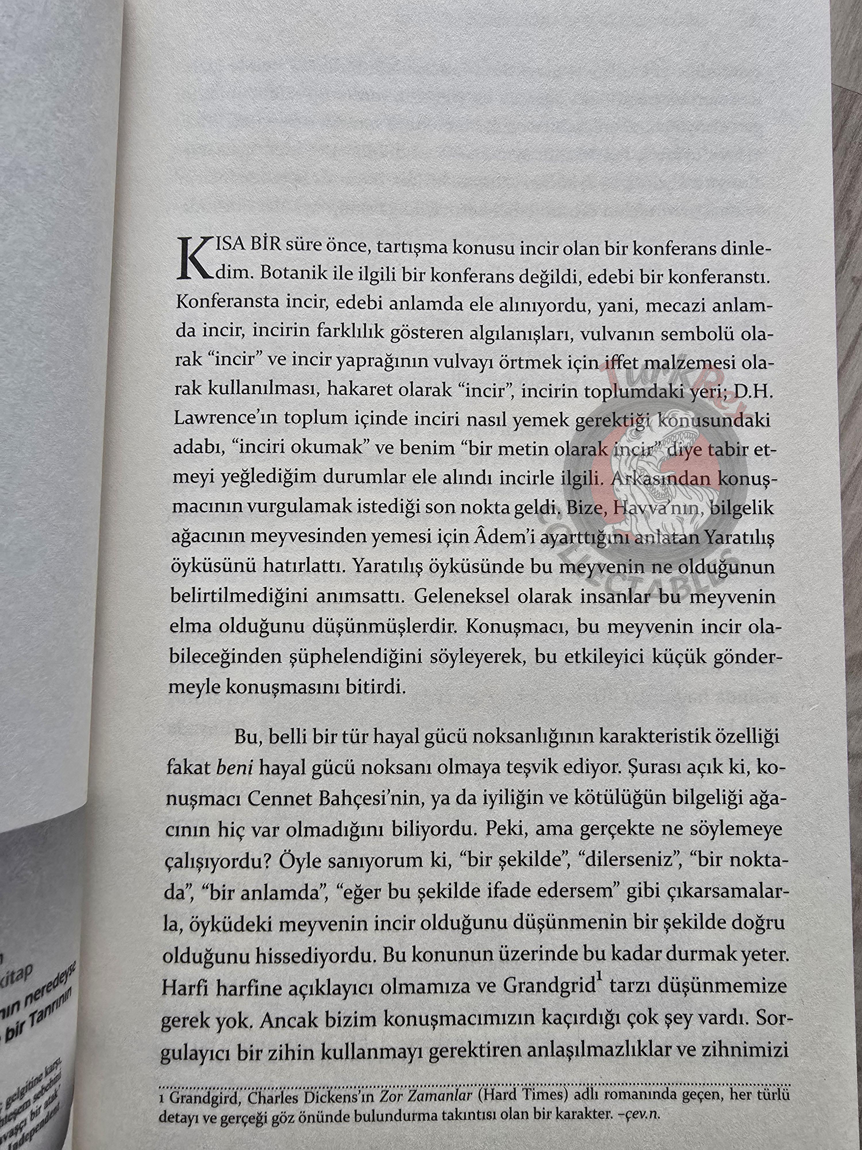 Richard Dawkins – Climbing Mount Improbable 2017 Turkish Book Turkey