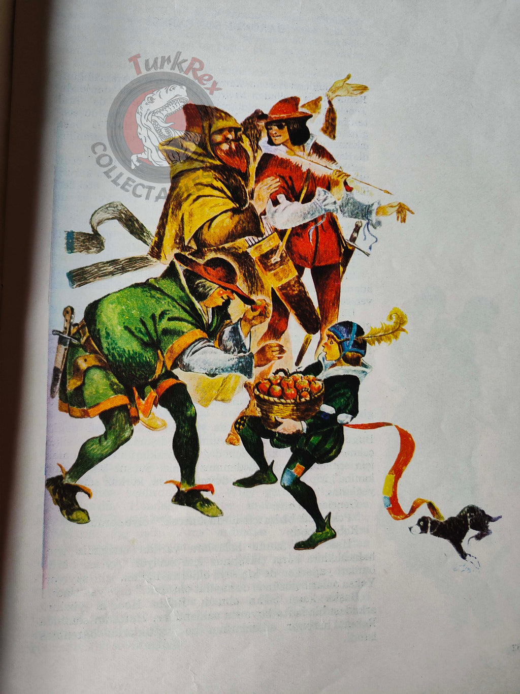 Robin Hood – Howard Pyle 1983 Turkish Book Turkey Illustrated