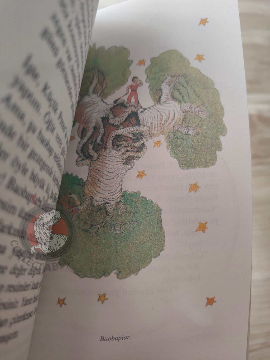 Antoine de Saint-Exupéry – Le Petit Prince 2011 Turkish Book Turkey Illustrated Little