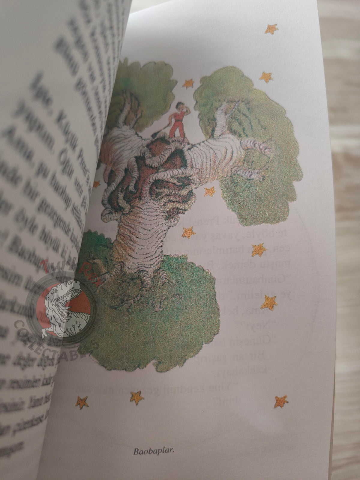 Antoine de Saint-Exupéry – Le Petit Prince 2011 Turkish Book Turkey Illustrated Little