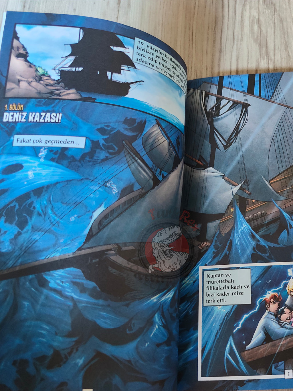 The Swiss Family Robinson – Johann David Wyss Turkish Comic Turkey Stone Arch Books