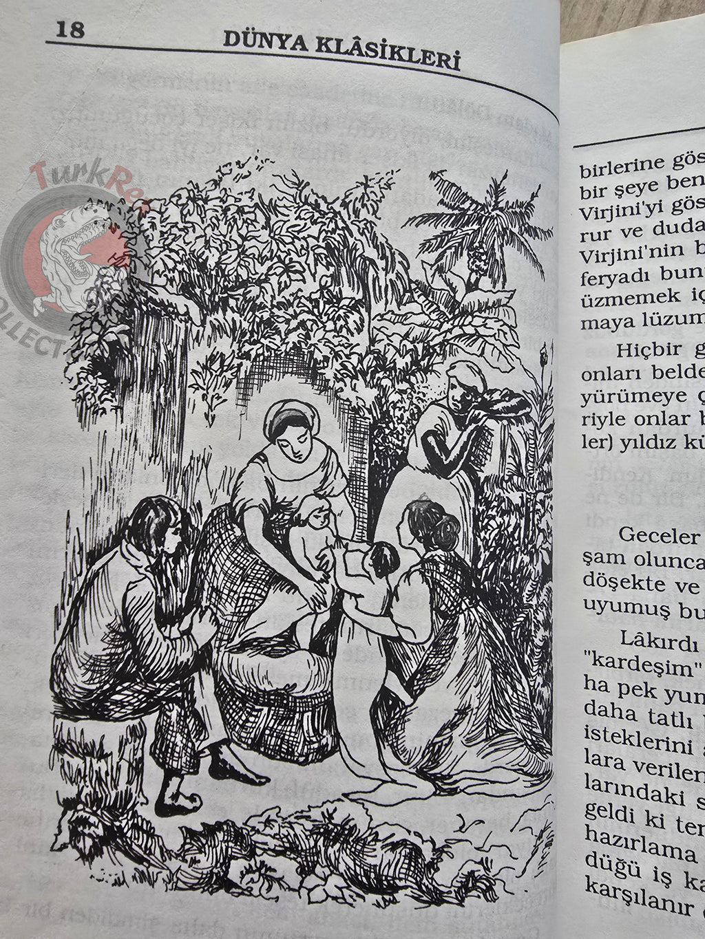 Bernardin de Saint-Pierre – Paul et Virginie 1990s Turkish Book Turkey Illustrated