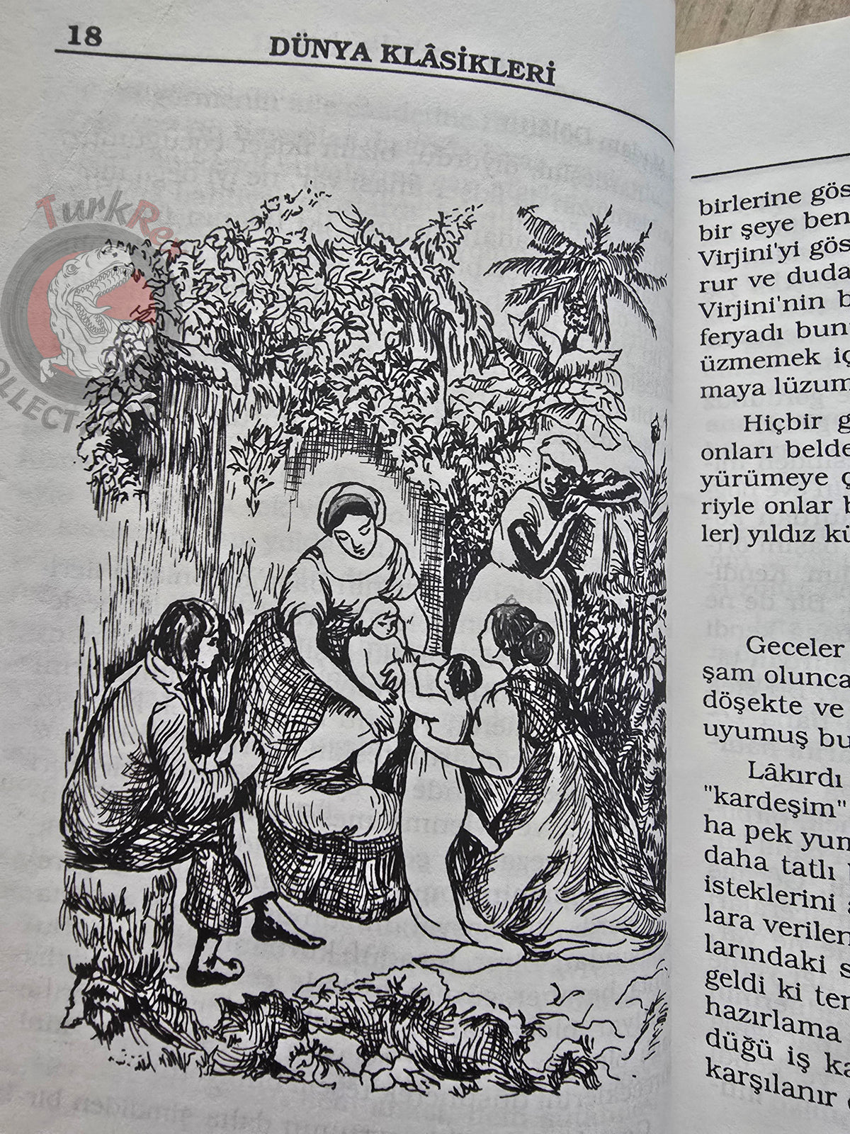 Bernardin de Saint-Pierre – Paul et Virginie 1990s Turkish Book Turkey Illustrated