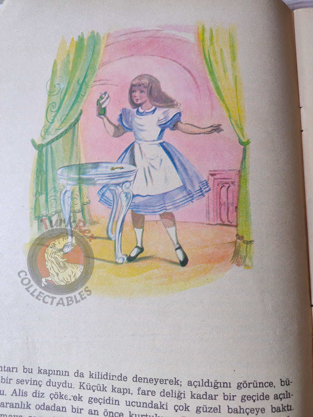 Lewis Carroll – Alice in Wonderland 1988 Turkish Book Turkey Illustrated Alice Huertas