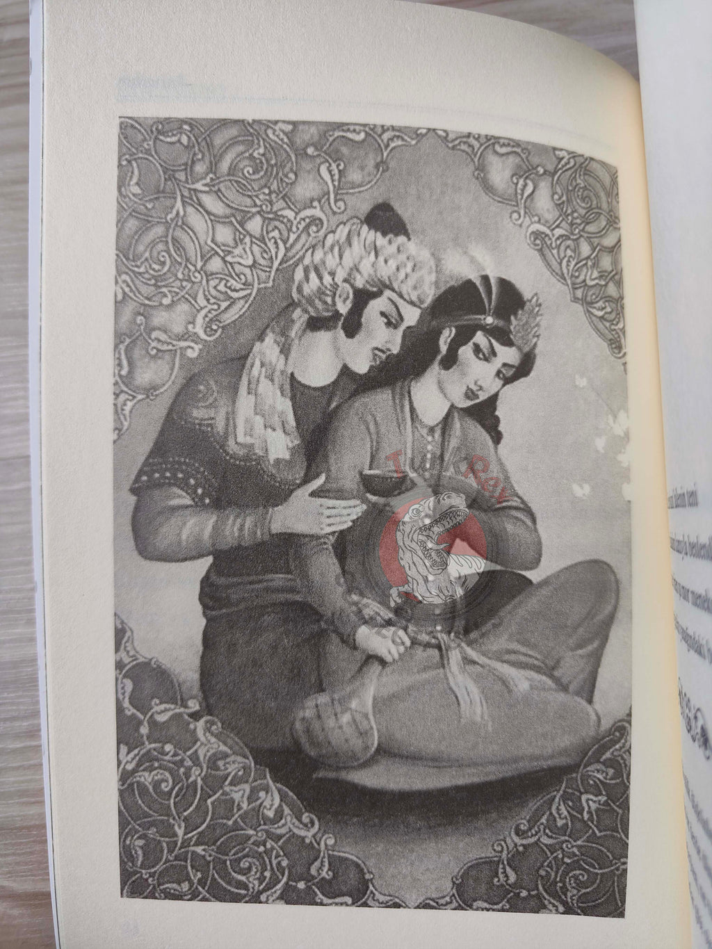 Rubaiyat of Omar Khayyam 2013 Illustrated Turkish Book Turkey Panama