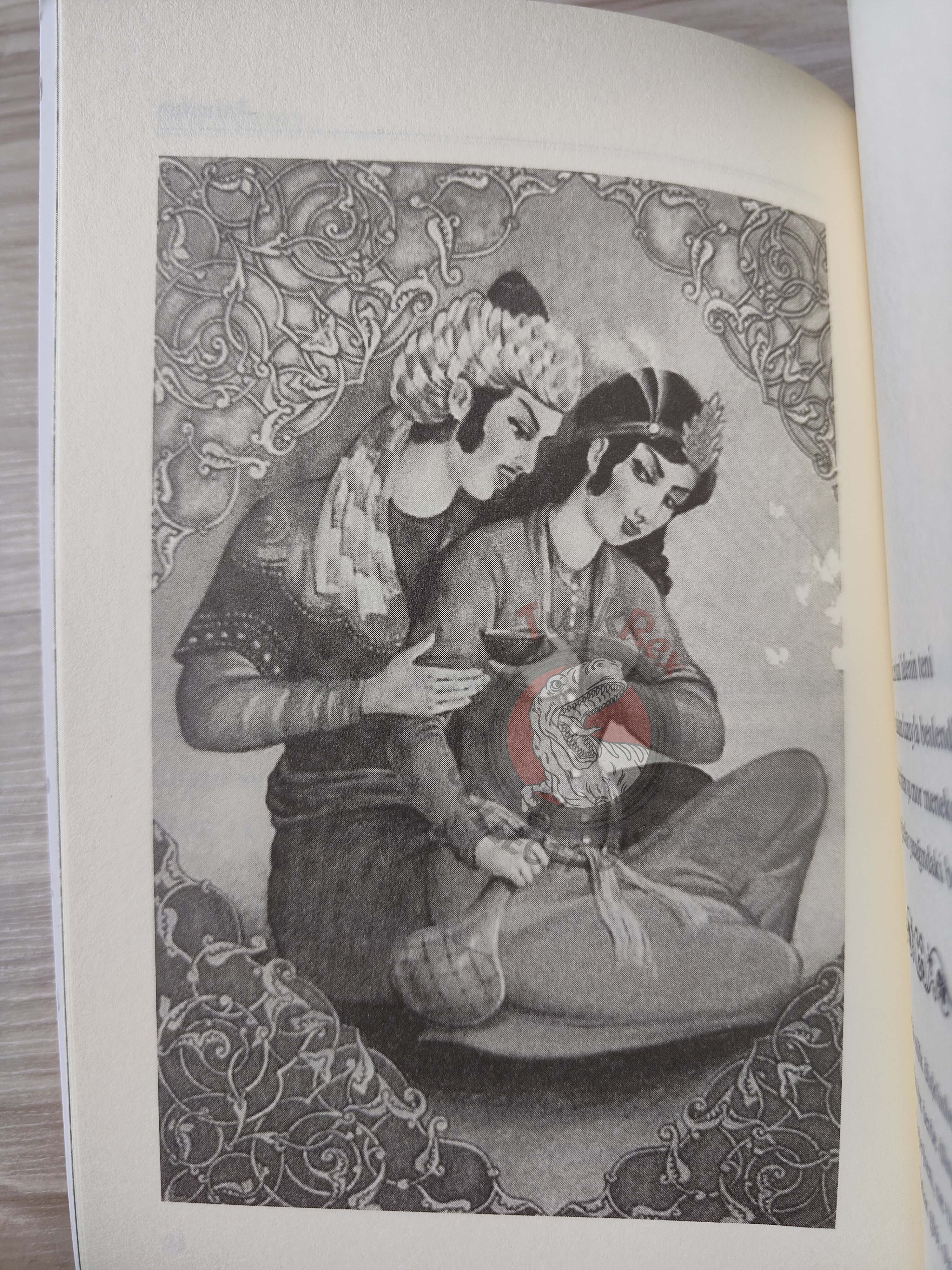 Rubaiyat of Omar Khayyam 2013 Illustrated Turkish Book Turkey Panama