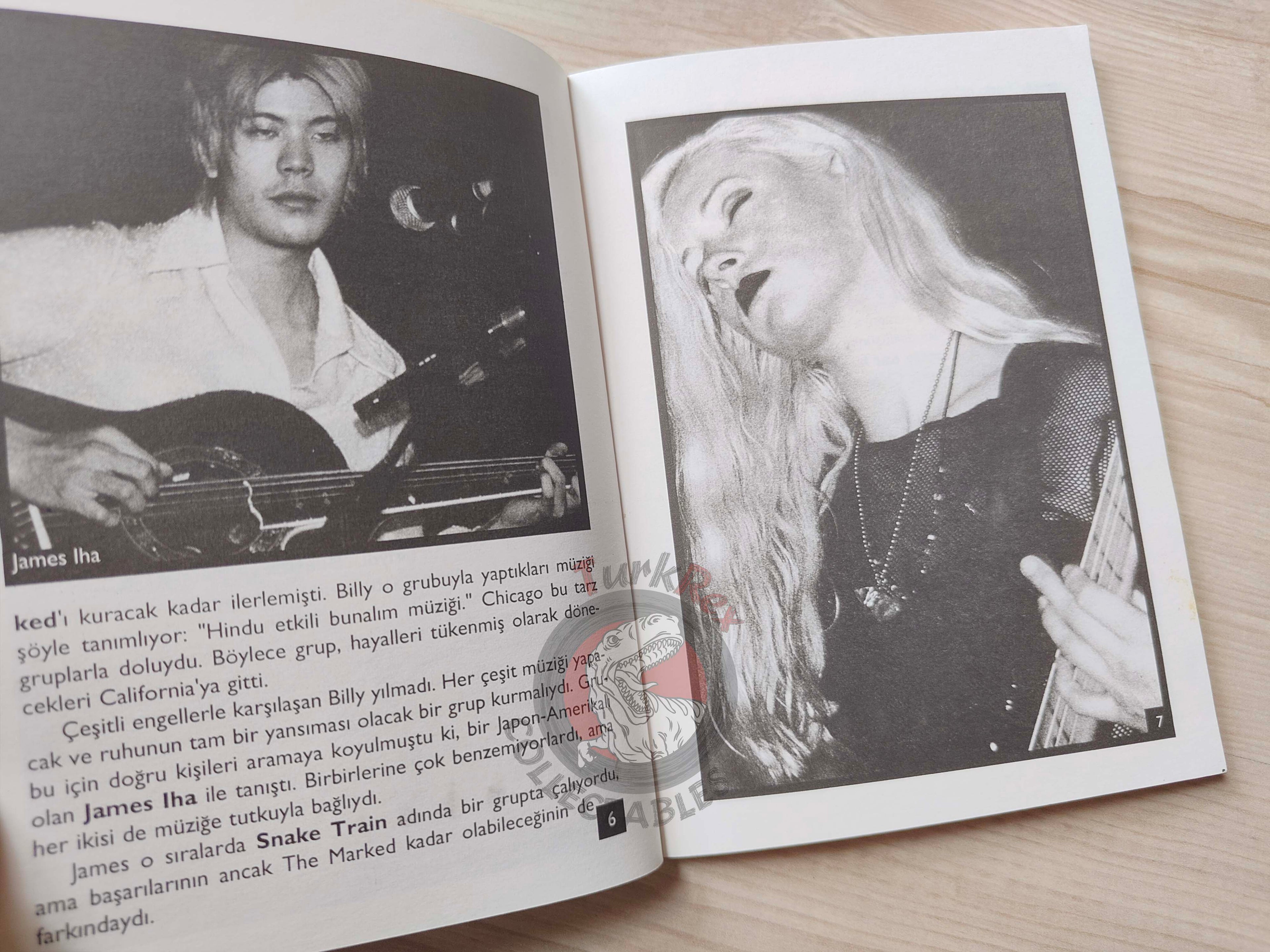 Smashing Pumpkins Biography Book 1997 1st by Turkish Writer Book Turkey