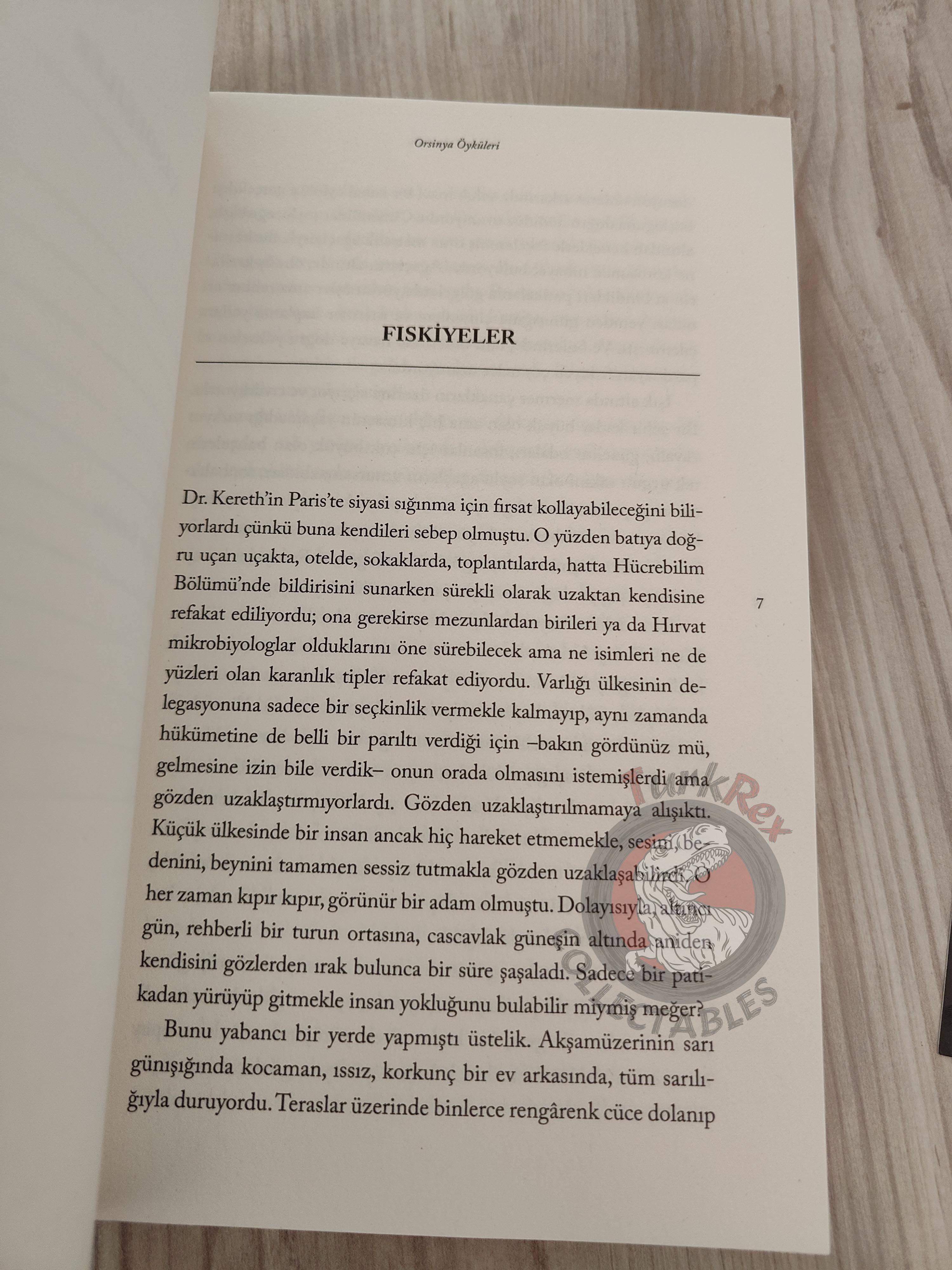 Ursula K. Le Guin – Orsinian Tales 2018 1st Turkish Book Turkey
