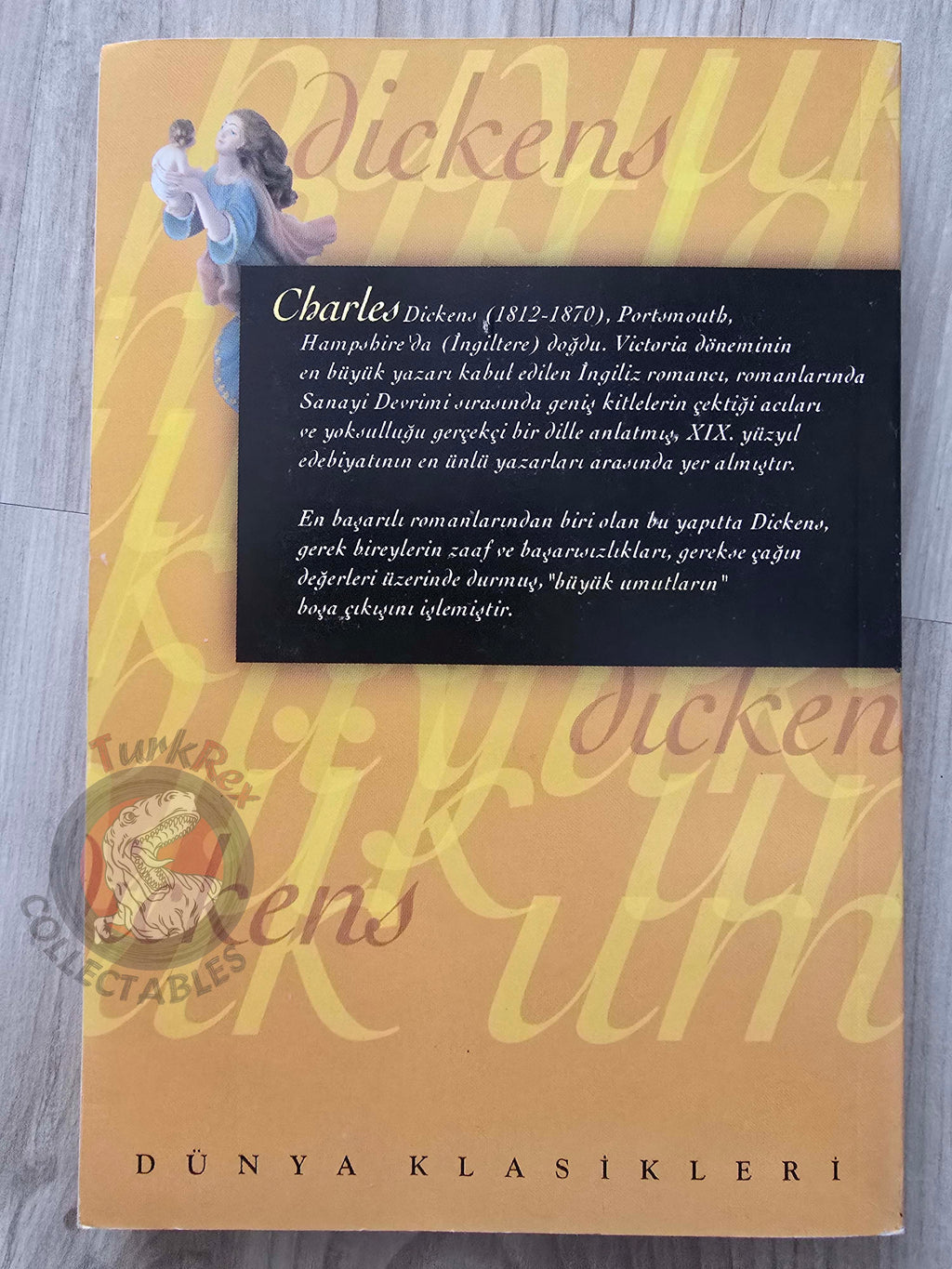 Charles Dickens – Great Expectations Turkish Book Turkey