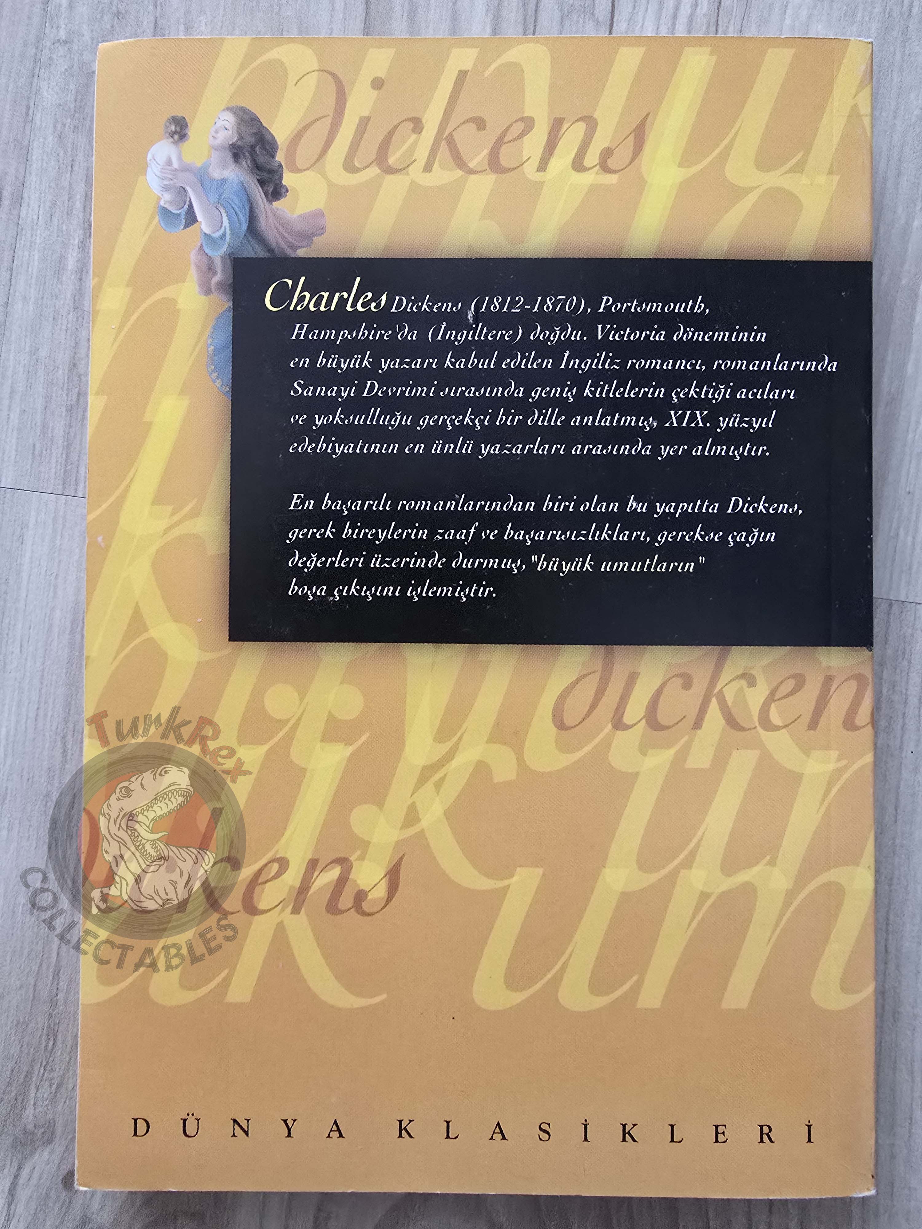 Charles Dickens – Great Expectations Turkish Book Turkey