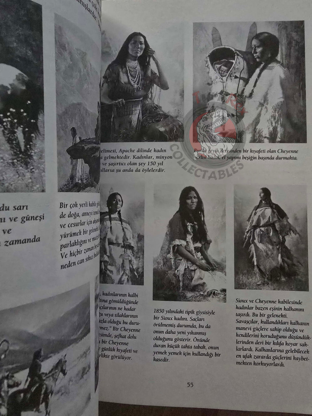 Eagles Were Flying Over Endless Lands American Indian Turkish Book Turkey