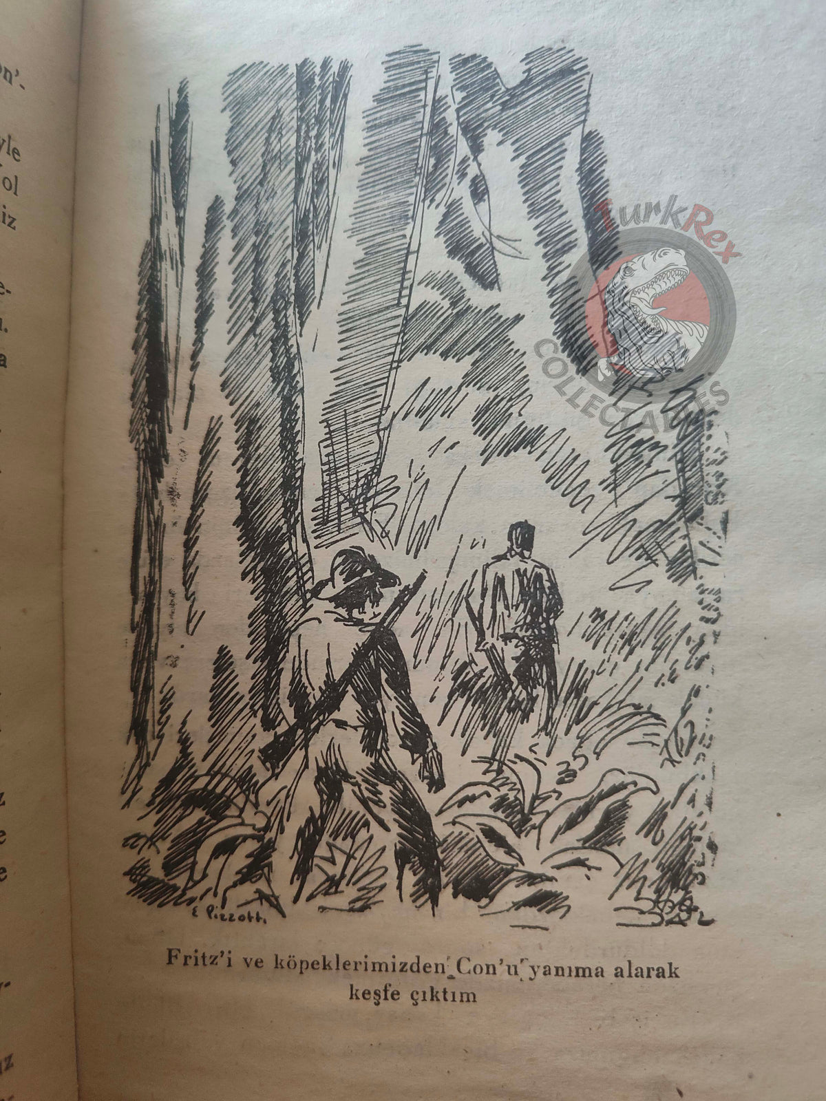 Johann David Wyss – The Swiss Family Robinson 1946 Turkish Book Turkey Illustrated