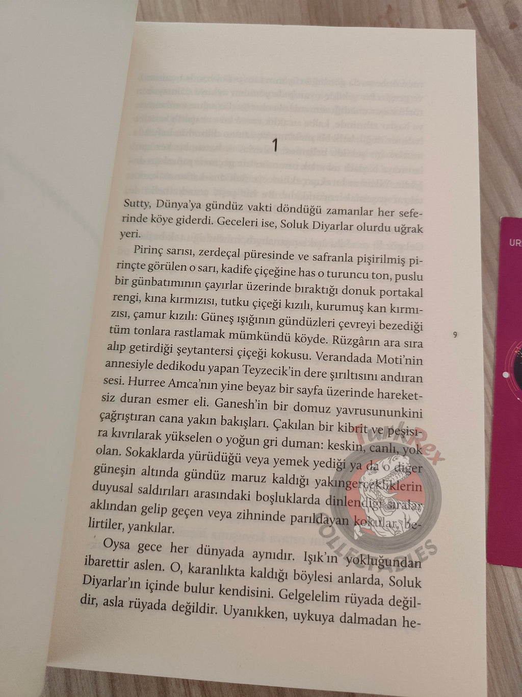 Ursula K. Le Guin – The Telling 2017 Turkish Book Turkey