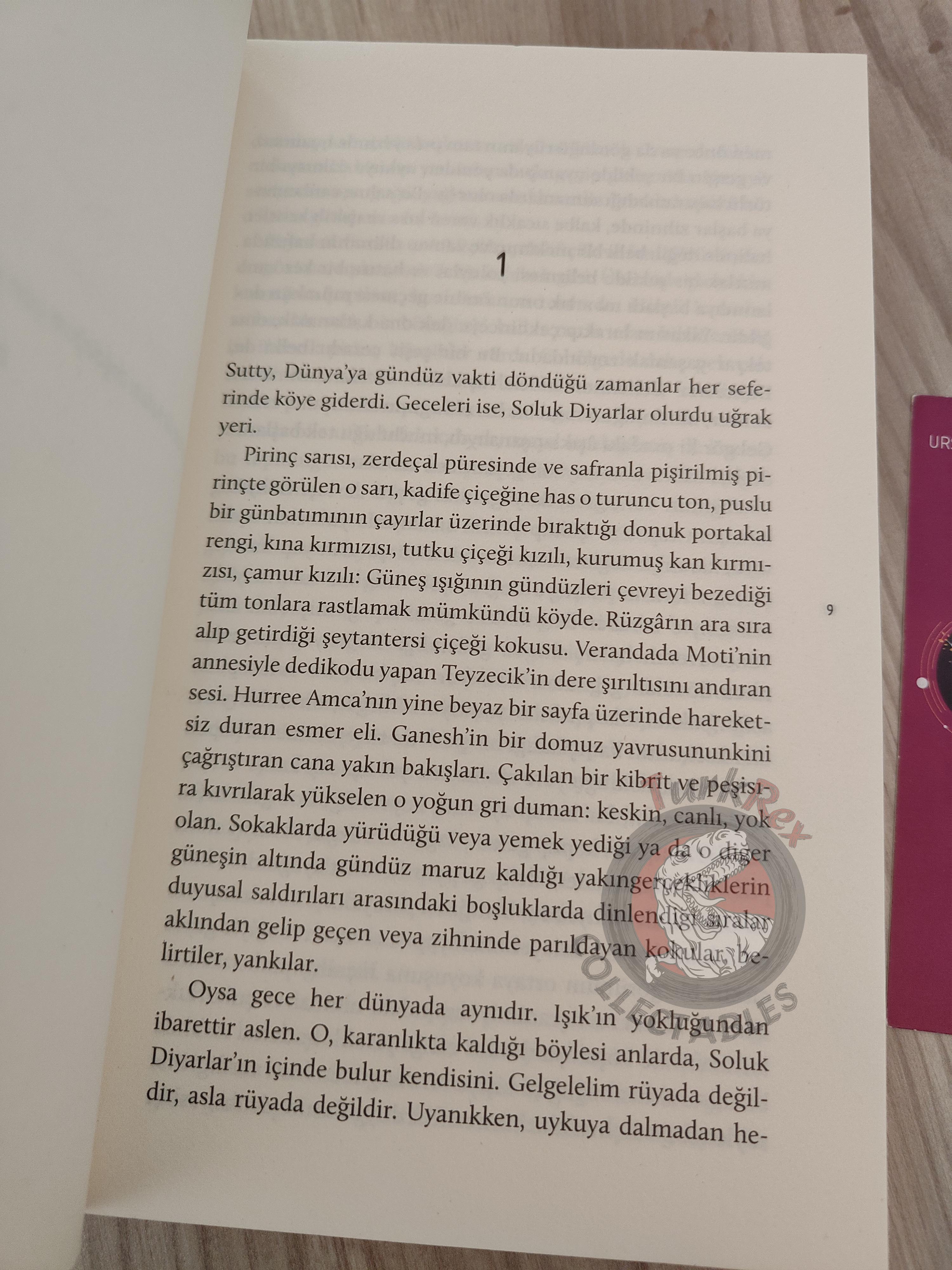 Ursula K. Le Guin – The Telling 2017 Turkish Book Turkey