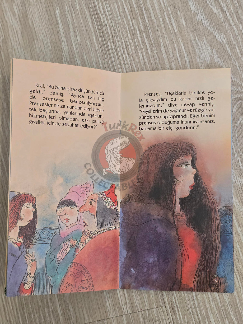 Grimm Brothers – The Princess and the Pea 2011 Turkish Book Turkey Illustrated