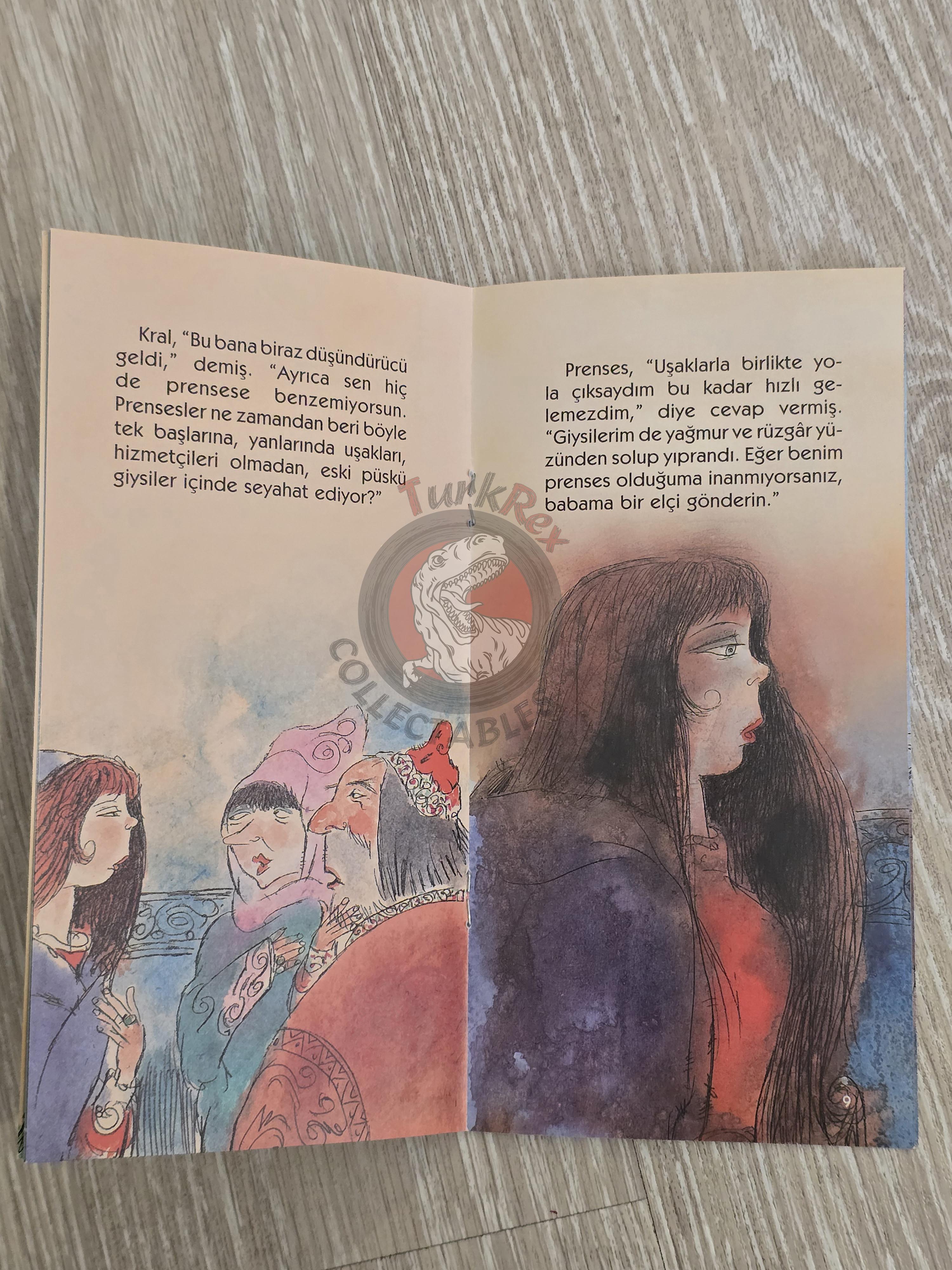 Grimm Brothers – The Princess and the Pea 2011 Turkish Book Turkey Illustrated