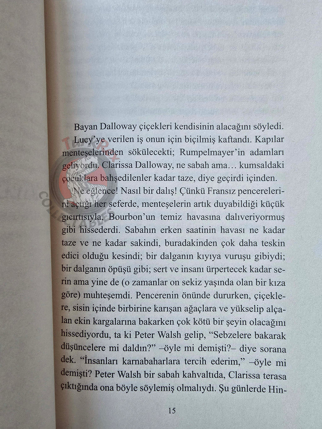 Virginia Woolf – Mrs. Dalloway 2019 Turkish Book Turkey