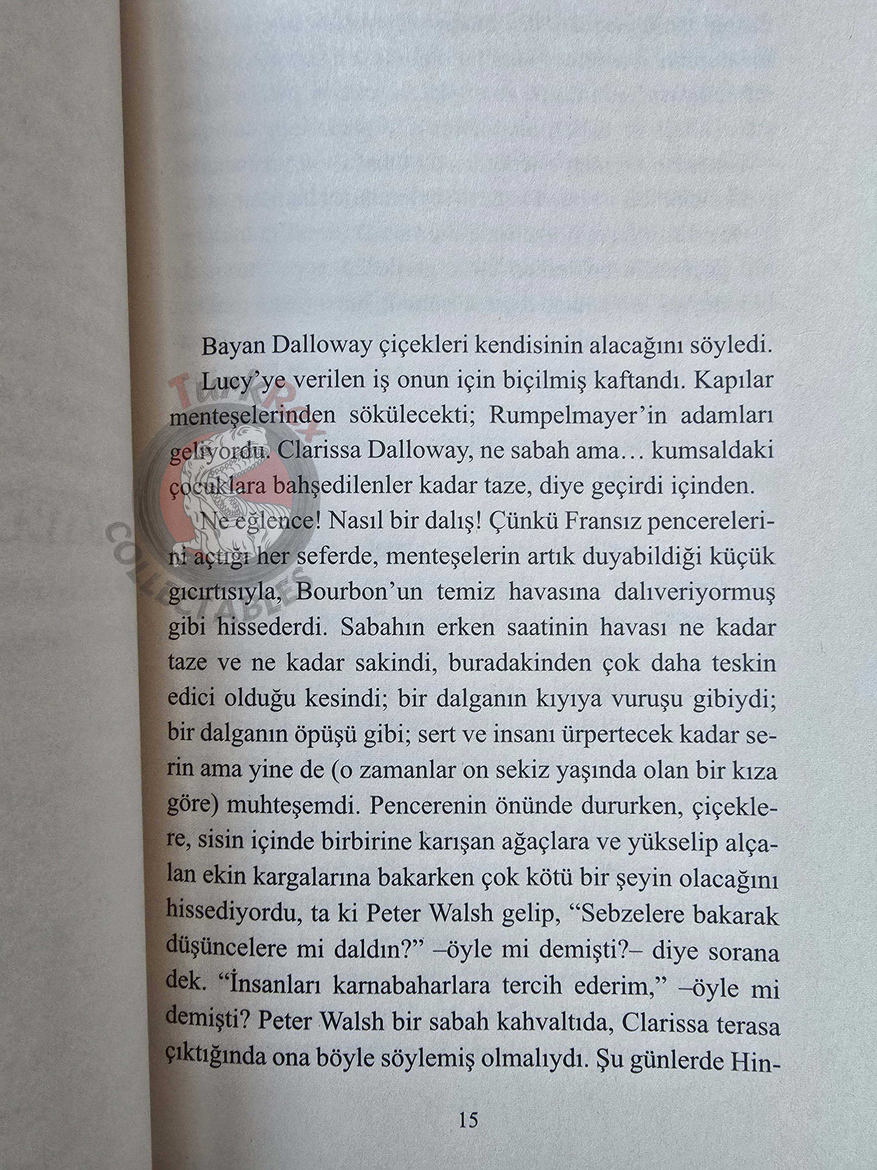 Virginia Woolf – Mrs. Dalloway 2019 Turkish Book Turkey